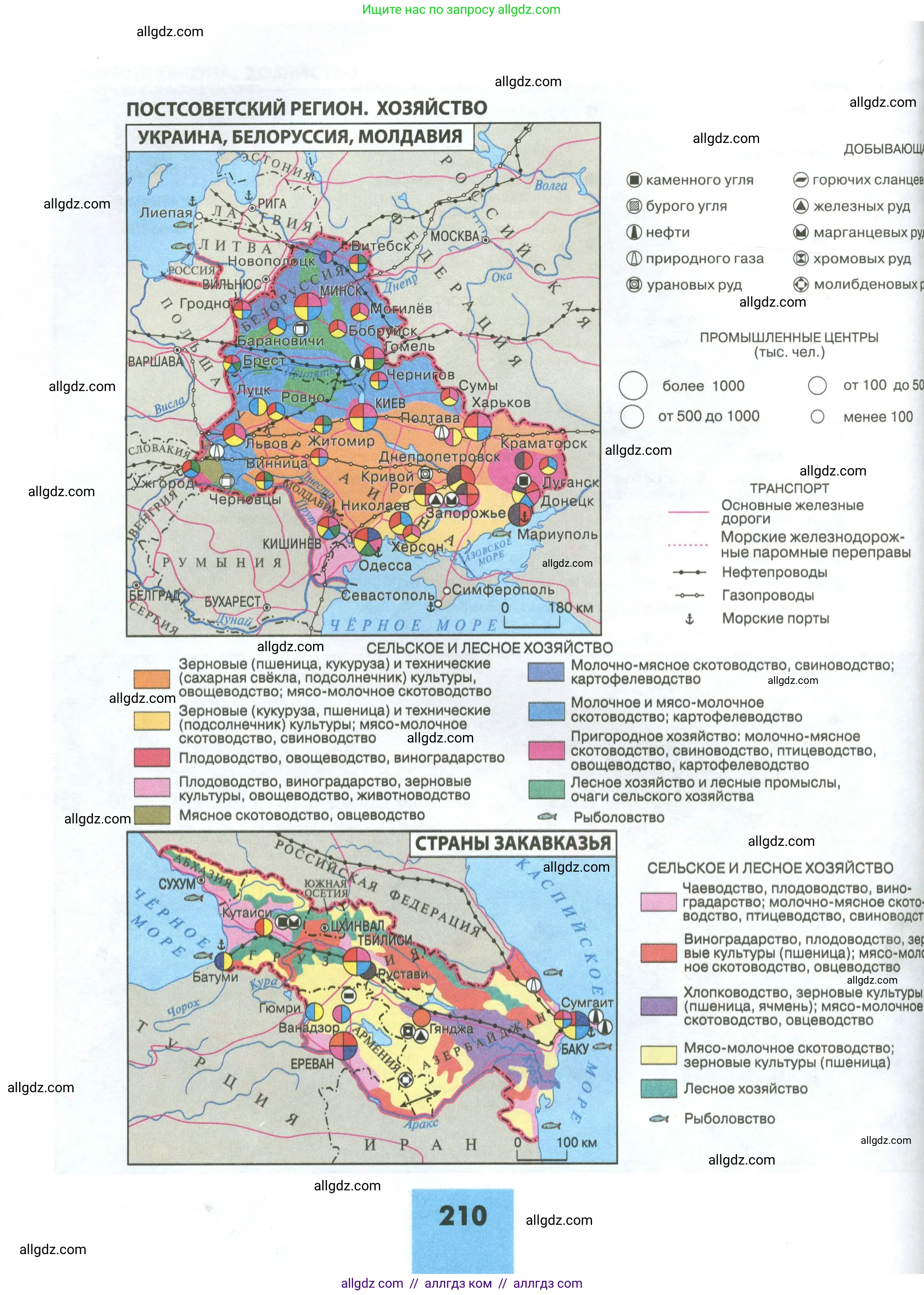 География, 11 класс Учебник, авторы: Гладкий Юрий Никифорович, Николина Вера Викторовна, издательство Просвещение, Москва, 2019, жёлтого цвета, страница 210