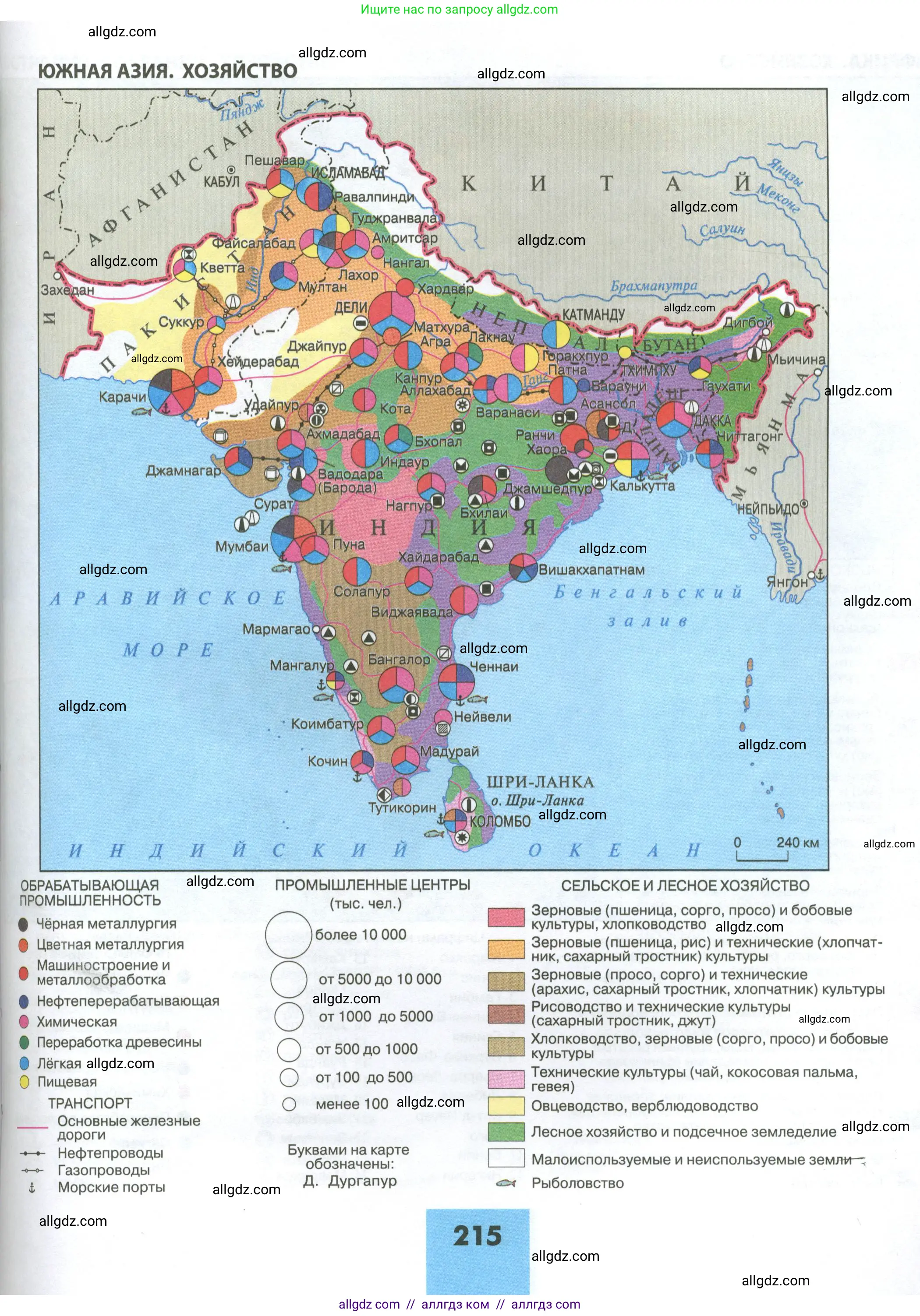 География, 11 класс Учебник, авторы: Гладкий Юрий Никифорович, Николина Вера Викторовна, издательство Просвещение, Москва, 2019, жёлтого цвета, страница 215