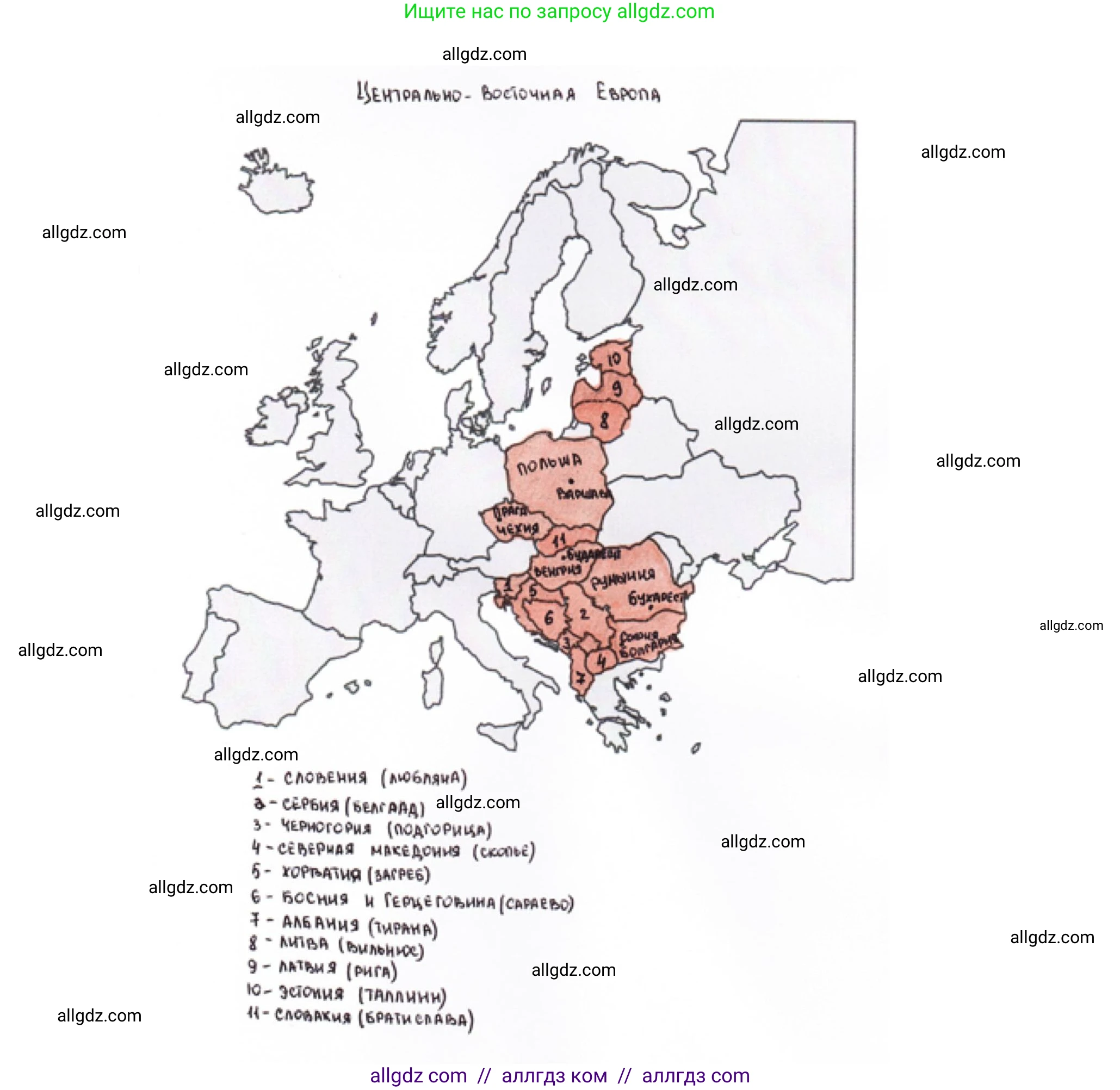 География, 11 класс Учебник, авторы: Гладкий Юрий Никифорович, Николина Вера Викторовна, издательство Просвещение, Москва, 2019, жёлтого цвета, страница 65, номер 7, Решение
