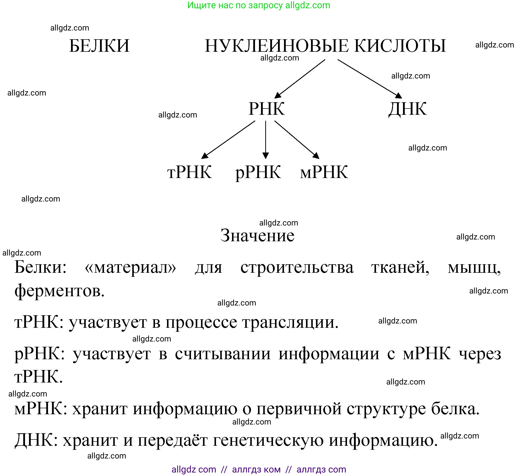Химия, 11 класс рабочая тетрадь, авторы: Габриелян Олег Саргисович, Сладков Сергей Анатольевич, Остроумов Игорь Геннадьевич, издательство Просвещение, Москва, 2021, белого цвета, страница 26, номер 2, Решение (продолжение 2)