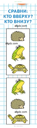 Математика, 1 класс Учебник, авторы: Моро Мария Игнатьевна, Волкова Светлана Ивановна, Степанова Светлана Вячеславовна, издательство Просвещение, Москва, 2023, белого цвета, Часть 1, страница 8, Условие