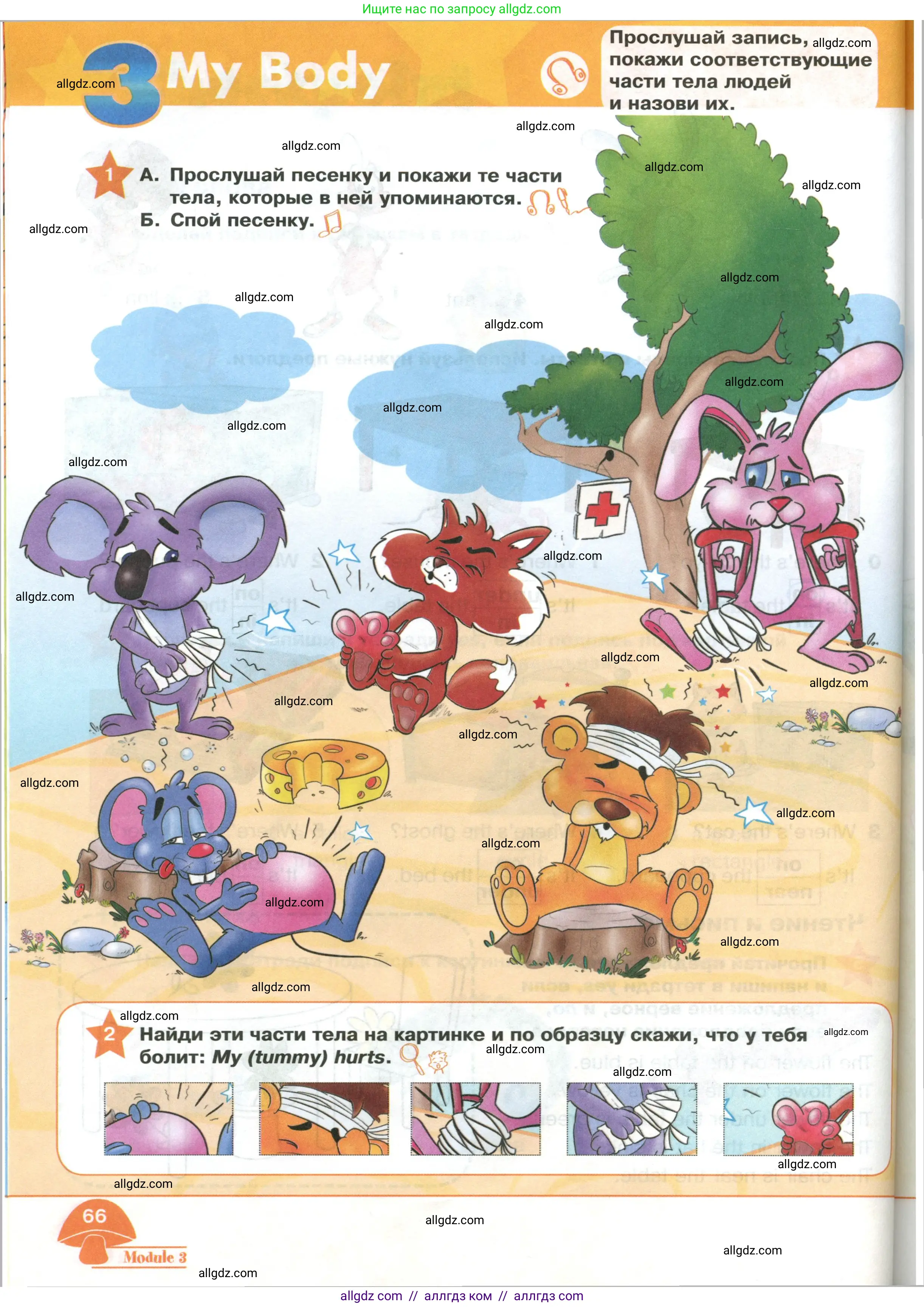 Английский язык (english), 2 класс Учебник (Student's book), авторы: Баранова Ксения Михайловна (Baranova Ksenia), Дули Дженни (Dooley Jenny), Копылова Виктория Викторовна (Kopylova Victoria), Мильруд Радислав Петрович (Millrood Radislav), Эванс Вирджиния (Evans Virginia), издательство Просвещение, Москва, 2023, белого цвета, Часть ( Part) 1, страница 66