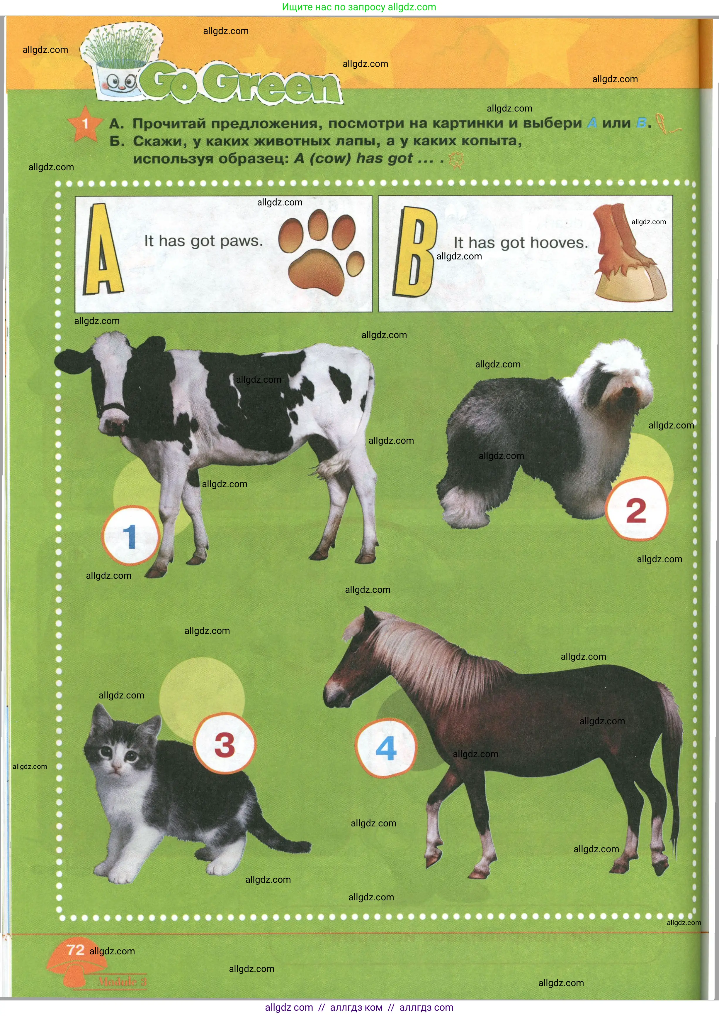 Английский язык (english), 2 класс Учебник (Student's book), авторы: Баранова Ксения Михайловна (Baranova Ksenia), Дули Дженни (Dooley Jenny), Копылова Виктория Викторовна (Kopylova Victoria), Мильруд Радислав Петрович (Millrood Radislav), Эванс Вирджиния (Evans Virginia), издательство Просвещение, Москва, 2023, белого цвета, Часть ( Part) 1, страница 72