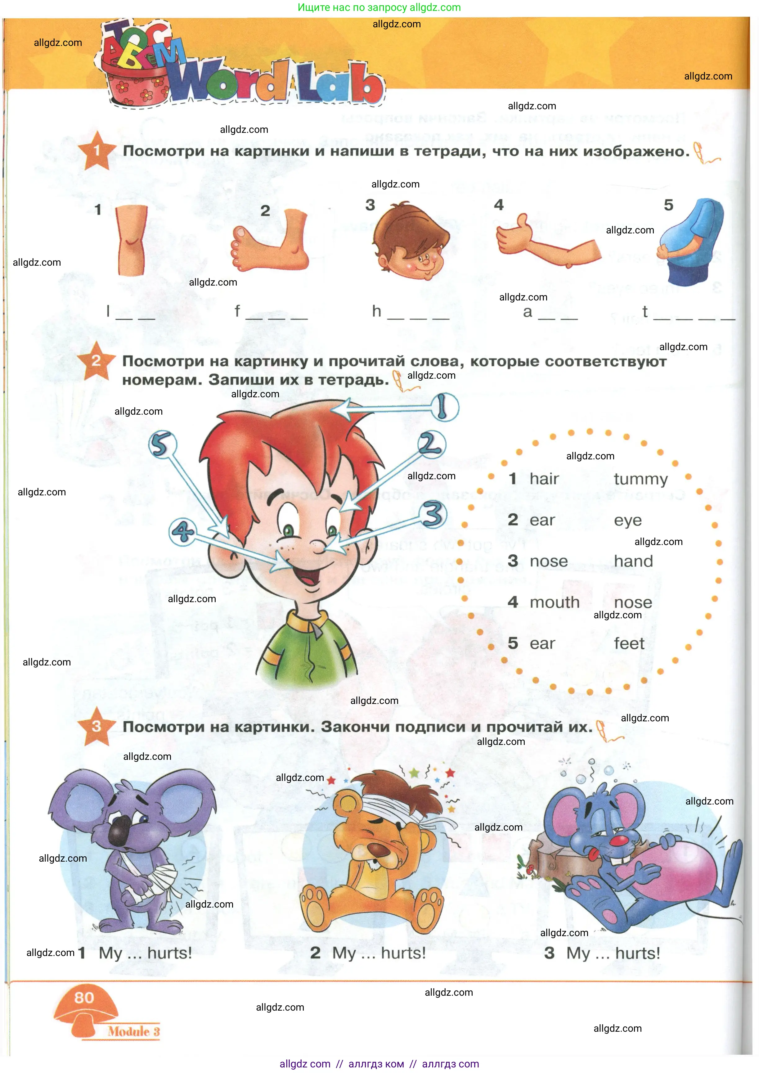 Английский язык (english), 2 класс Учебник (Student's book), авторы: Баранова Ксения Михайловна (Baranova Ksenia), Дули Дженни (Dooley Jenny), Копылова Виктория Викторовна (Kopylova Victoria), Мильруд Радислав Петрович (Millrood Radislav), Эванс Вирджиния (Evans Virginia), издательство Просвещение, Москва, 2023, белого цвета, Часть ( Part) 1, страница 80