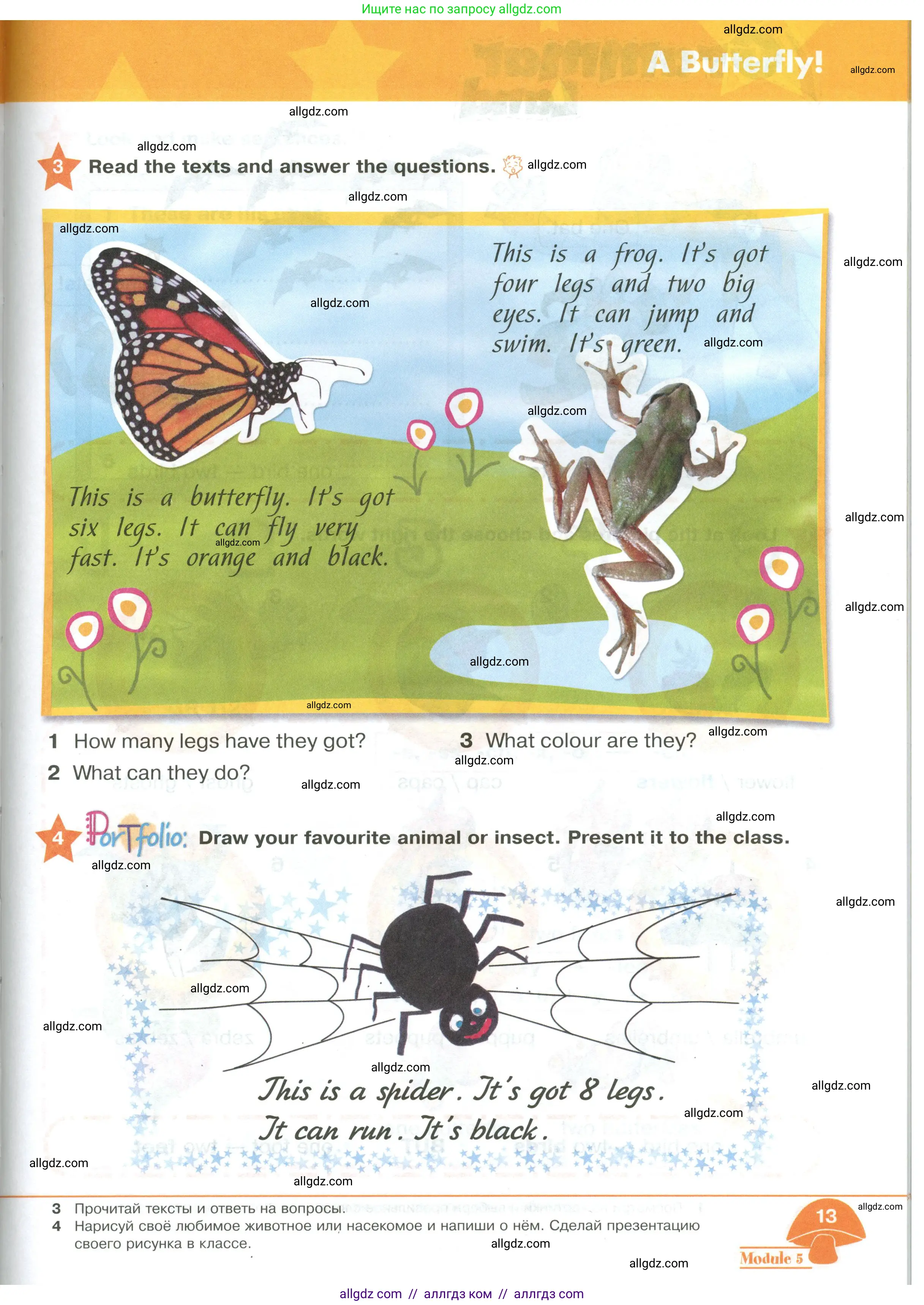 Английский язык (english), 2 класс Учебник (Student's book), авторы: Баранова Ксения Михайловна (Baranova Ksenia), Дули Дженни (Dooley Jenny), Копылова Виктория Викторовна (Kopylova Victoria), Мильруд Радислав Петрович (Millrood Radislav), Эванс Вирджиния (Evans Virginia), издательство Просвещение, Москва, 2023, белого цвета, Часть ( Part) 2, страница 13