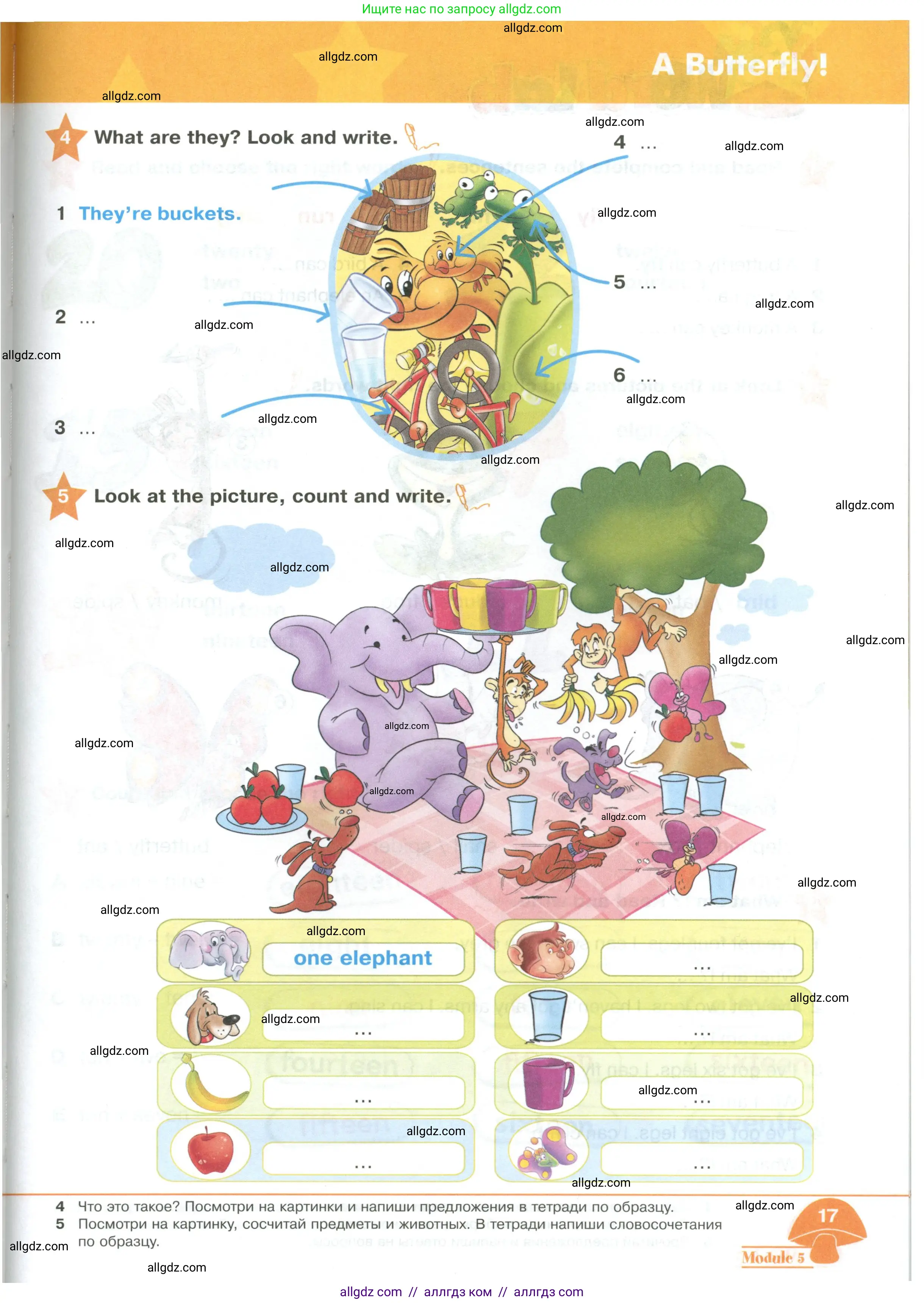 Английский язык (english), 2 класс Учебник (Student's book), авторы: Баранова Ксения Михайловна (Baranova Ksenia), Дули Дженни (Dooley Jenny), Копылова Виктория Викторовна (Kopylova Victoria), Мильруд Радислав Петрович (Millrood Radislav), Эванс Вирджиния (Evans Virginia), издательство Просвещение, Москва, 2023, белого цвета, Часть ( Part) 2, страница 17