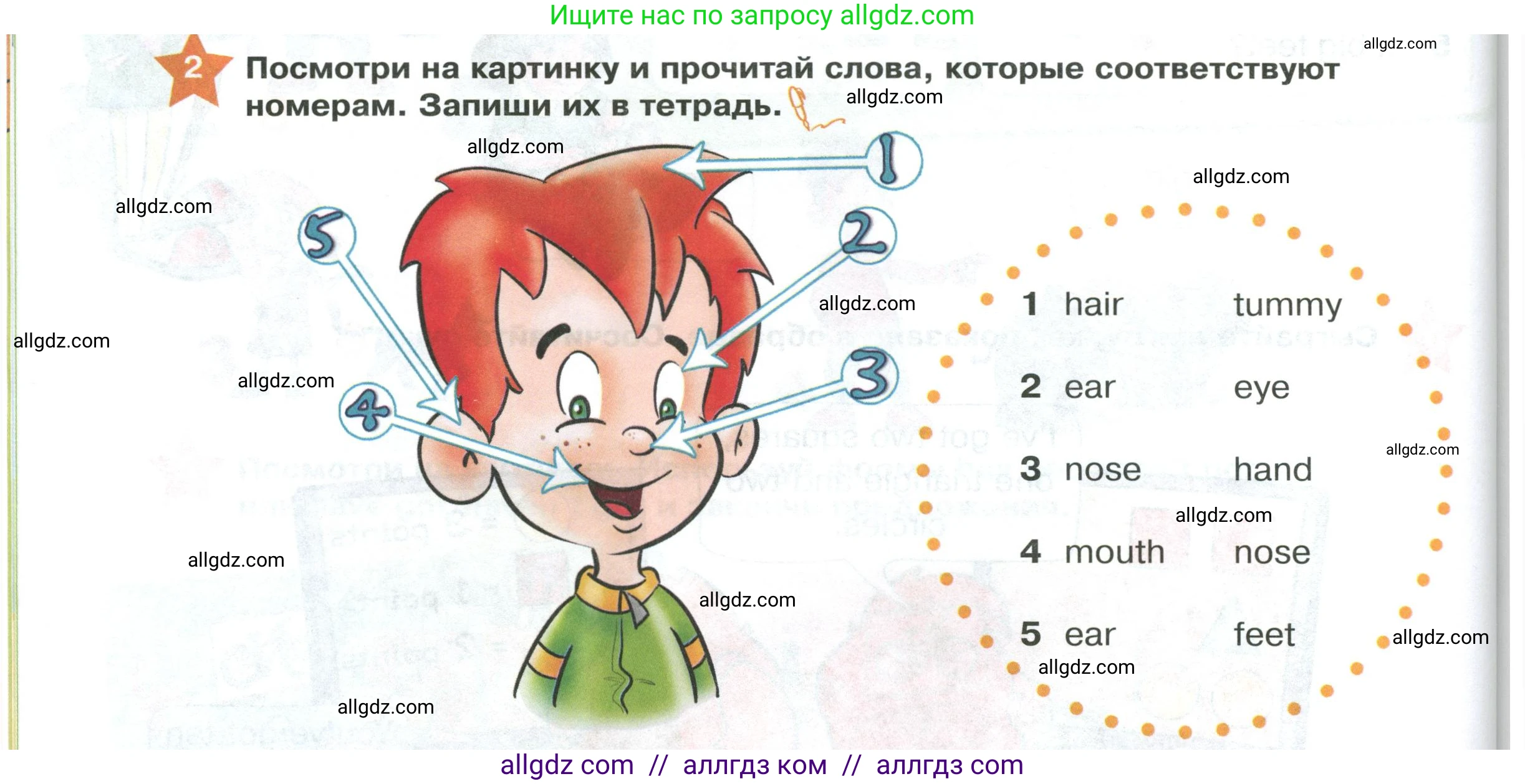 Английский язык (english), 2 класс Учебник (Student's book), авторы: Баранова Ксения Михайловна (Baranova Ksenia), Дули Дженни (Dooley Jenny), Копылова Виктория Викторовна (Kopylova Victoria), Мильруд Радислав Петрович (Millrood Radislav), Эванс Вирджиния (Evans Virginia), издательство Просвещение, Москва, 2023, белого цвета, Часть ( Part) 1, страница 80, номер 2, Условие