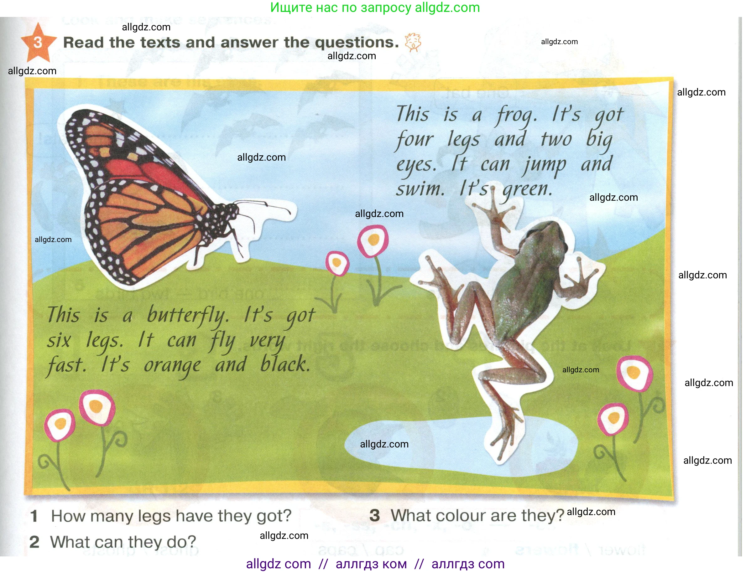 Английский язык (english), 2 класс Учебник (Student's book), авторы: Баранова Ксения Михайловна (Baranova Ksenia), Дули Дженни (Dooley Jenny), Копылова Виктория Викторовна (Kopylova Victoria), Мильруд Радислав Петрович (Millrood Radislav), Эванс Вирджиния (Evans Virginia), издательство Просвещение, Москва, 2023, белого цвета, Часть ( Part) 2, страница 13, номер 3, Условие