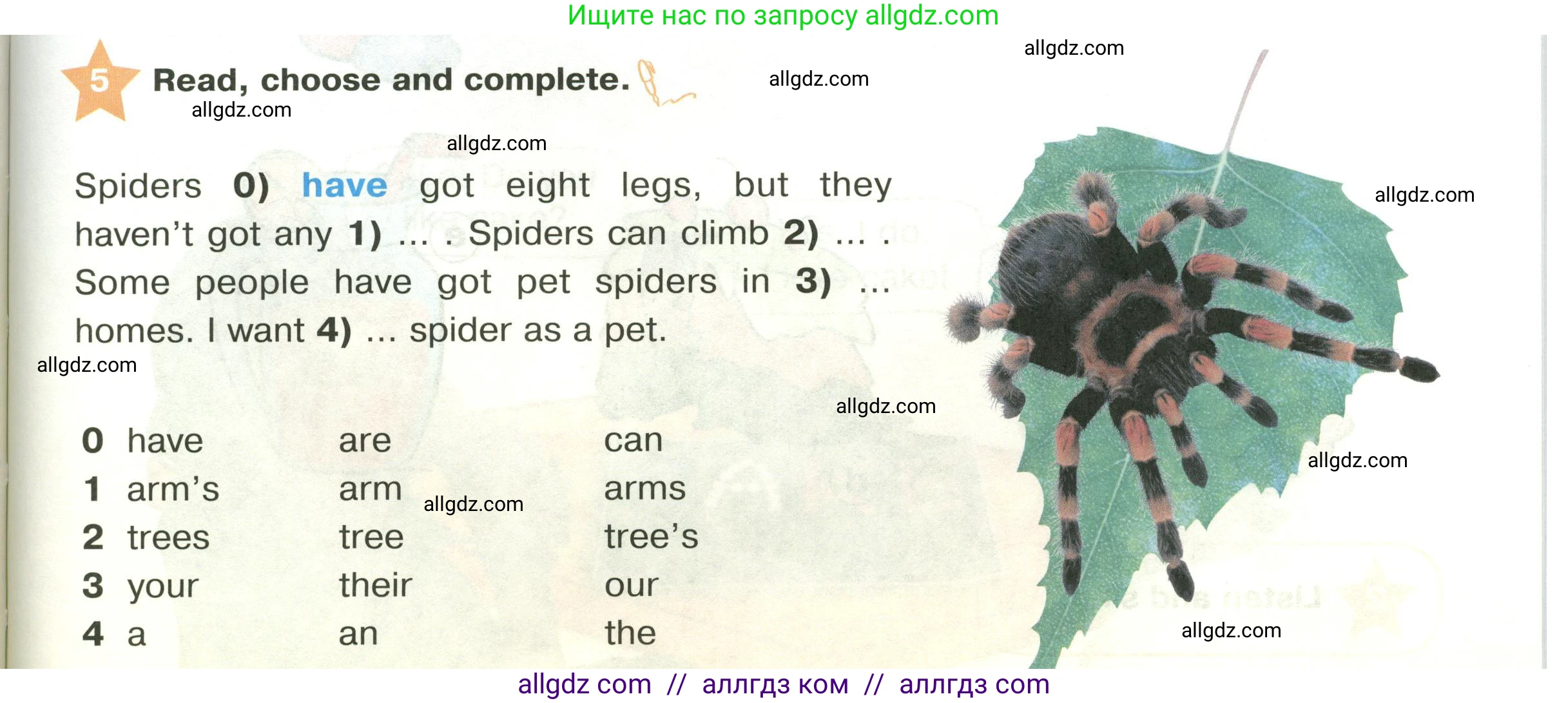 Английский язык (english), 2 класс Учебник (Student's book), авторы: Баранова Ксения Михайловна (Baranova Ksenia), Дули Дженни (Dooley Jenny), Копылова Виктория Викторовна (Kopylova Victoria), Мильруд Радислав Петрович (Millrood Radislav), Эванс Вирджиния (Evans Virginia), издательство Просвещение, Москва, 2023, белого цвета, Часть ( Part) 2, страница 27, номер 5, Условие