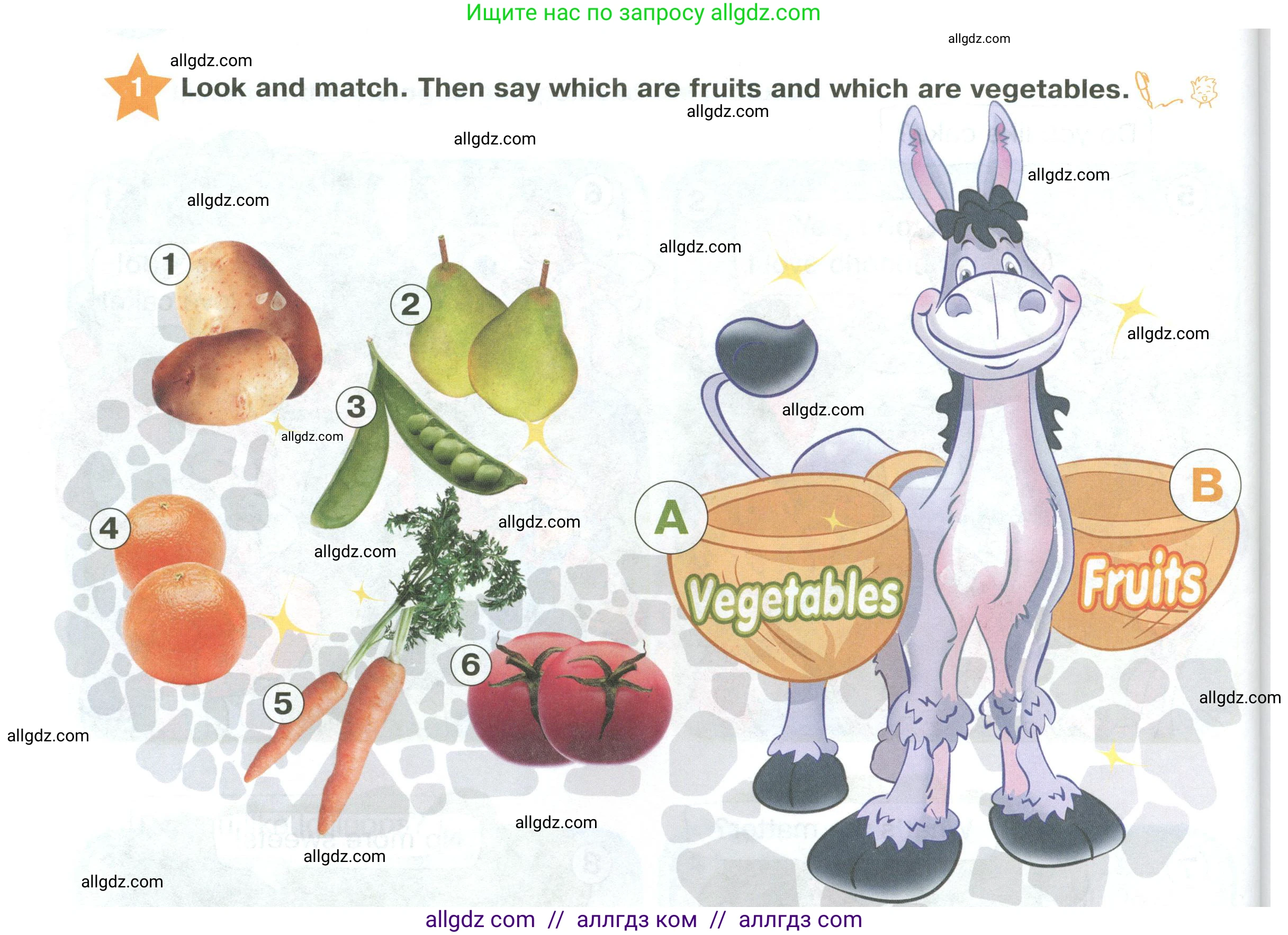 Английский язык (english), 2 класс Учебник (Student's book), авторы: Баранова Ксения Михайловна (Baranova Ksenia), Дули Дженни (Dooley Jenny), Копылова Виктория Викторовна (Kopylova Victoria), Мильруд Радислав Петрович (Millrood Radislav), Эванс Вирджиния (Evans Virginia), издательство Просвещение, Москва, 2023, белого цвета, Часть ( Part) 2, страница 34, номер 1, Условие