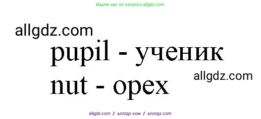 Английский язык (english), 2 класс Учебник (Student's book), авторы: Баранова Ксения Михайловна (Baranova Ksenia), Дули Дженни (Dooley Jenny), Копылова Виктория Викторовна (Kopylova Victoria), Мильруд Радислав Петрович (Millrood Radislav), Эванс Вирджиния (Evans Virginia), издательство Просвещение, Москва, 2023, белого цвета, Часть ( Part) 1, страница 13, номер 5, Решение