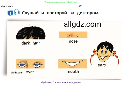 Английский язык (english), 2 класс Учебник (Student's book), авторы: Быкова Надежда Ильинична (Bykova Nadezhda), Бадулина Ольга Ивановна, Поспелова Марина Давидовна (Pospelova Marina), Эванс Вирджиния (Evans Virginia), издательство Просвещение, Москва, 2023, розового цвета, Часть ( Part) 2, страница 26, номер 1, Условие