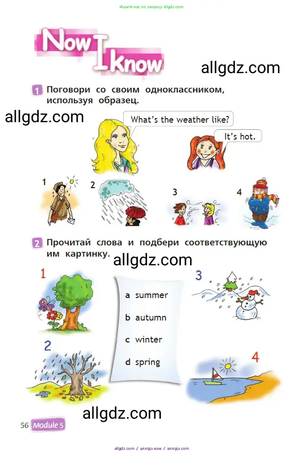 Английский язык (english), 2 класс Учебник (Student's book), авторы: Быкова Надежда Ильинична (Bykova Nadezhda), Бадулина Ольга Ивановна, Поспелова Марина Давидовна (Pospelova Marina), Эванс Вирджиния (Evans Virginia), издательство Просвещение, Москва, 2023, розового цвета, Часть ( Part) 2, страница 56