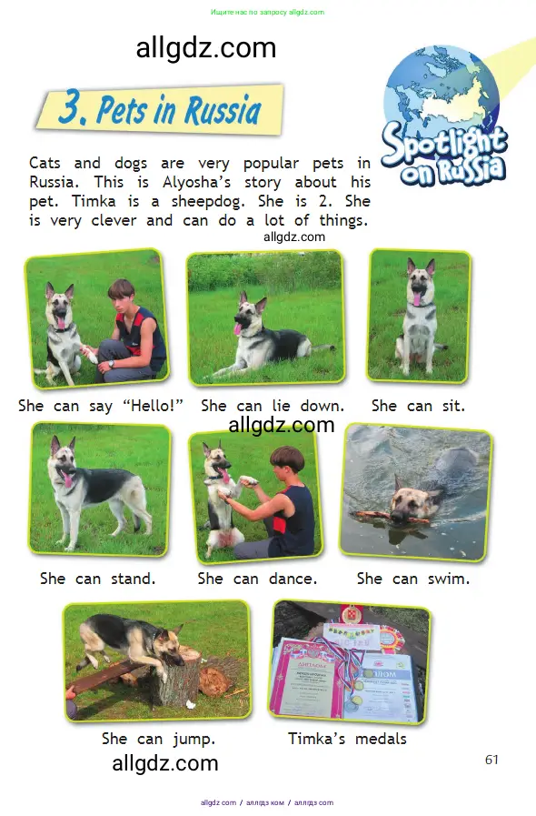 Английский язык (english), 2 класс Учебник (Student's book), авторы: Быкова Надежда Ильинична (Bykova Nadezhda), Бадулина Ольга Ивановна, Поспелова Марина Давидовна (Pospelova Marina), Эванс Вирджиния (Evans Virginia), издательство Просвещение, Москва, 2023, розового цвета, Часть ( Part) 2, страница 61