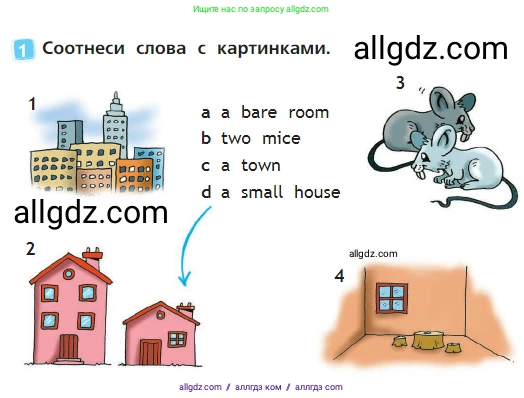 Английский язык (english), 2 класс Учебник (Student's book), авторы: Быкова Надежда Ильинична (Bykova Nadezhda), Бадулина Ольга Ивановна, Поспелова Марина Давидовна (Pospelova Marina), Эванс Вирджиния (Evans Virginia), издательство Просвещение, Москва, 2023, розового цвета, Часть ( Part) 1, страница 62, номер 1, Условие