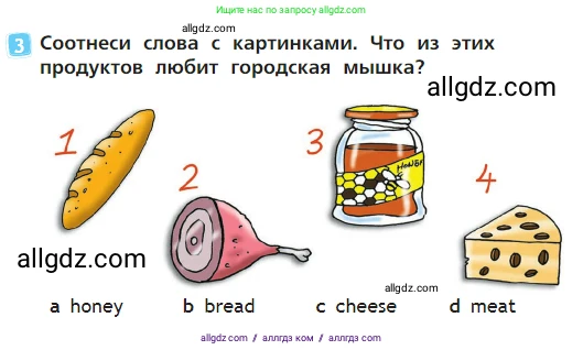Английский язык (english), 2 класс Учебник (Student's book), авторы: Быкова Надежда Ильинична (Bykova Nadezhda), Бадулина Ольга Ивановна, Поспелова Марина Давидовна (Pospelova Marina), Эванс Вирджиния (Evans Virginia), издательство Просвещение, Москва, 2023, розового цвета, Часть ( Part) 1, страница 63, номер 3, Условие