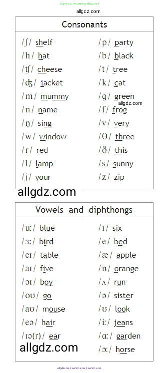 Английский язык (english), 2 класс Учебник (Student's book), авторы: Быкова Надежда Ильинична (Bykova Nadezhda), Бадулина Ольга Ивановна, Поспелова Марина Давидовна (Pospelova Marina), Эванс Вирджиния (Evans Virginia), издательство Просвещение, Москва, 2023, розового цвета, Часть ( Part) 1, страница 65, Условие