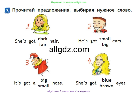 Английский язык (english), 2 класс Учебник (Student's book), авторы: Быкова Надежда Ильинична (Bykova Nadezhda), Бадулина Ольга Ивановна, Поспелова Марина Давидовна (Pospelova Marina), Эванс Вирджиния (Evans Virginia), издательство Просвещение, Москва, 2023, розового цвета, Часть ( Part) 2, страница 38, номер 3, Условие