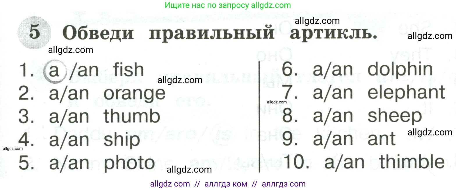 Английский язык (english), 2 класс Грамматический тренажёр, автор: Юшина Дарья Генадьевна, издательство Просвещение, Москва, 2018, розового цвета, страница 5, номер 5, Условие