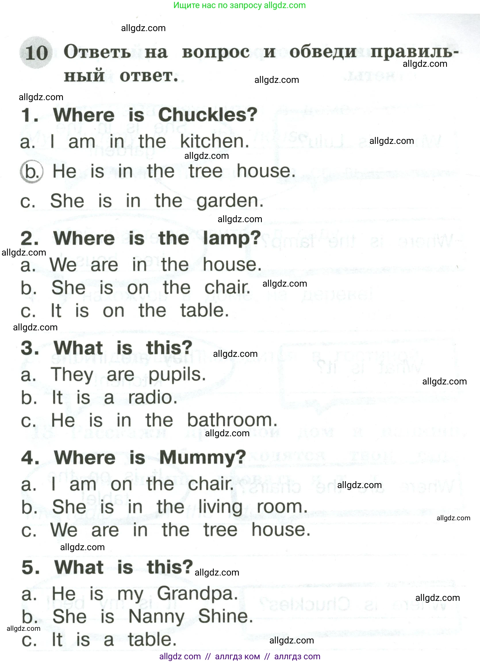 Английский язык (english), 2 класс Грамматический тренажёр, автор: Юшина Дарья Генадьевна, издательство Просвещение, Москва, 2018, розового цвета, страница 13, номер 10, Условие