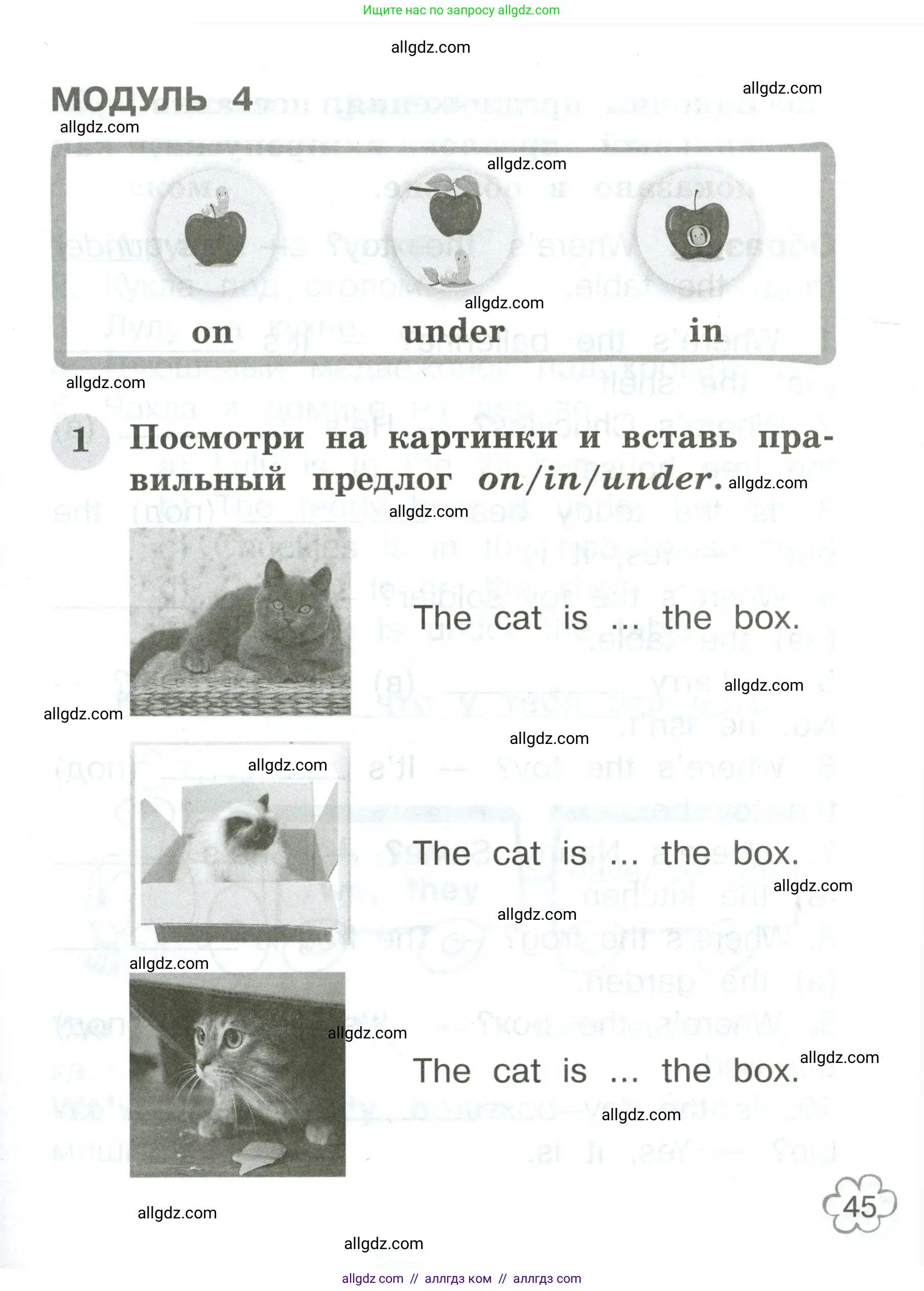 Английский язык (english), 2 класс Грамматический тренажёр, автор: Юшина Дарья Генадьевна, издательство Просвещение, Москва, 2018, розового цвета, страница 45