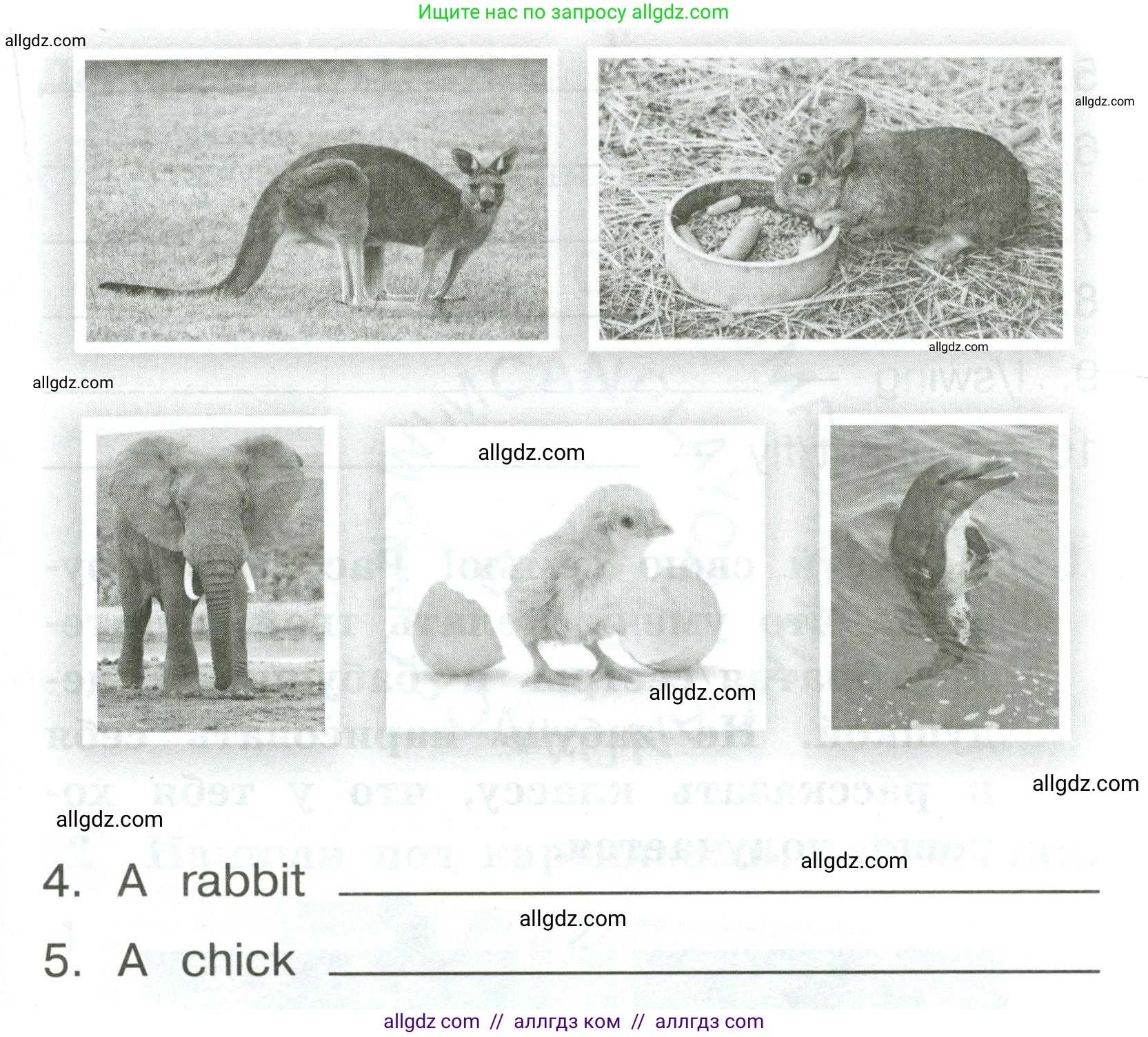 Английский язык (english), 2 класс Грамматический тренажёр, автор: Юшина Дарья Генадьевна, издательство Просвещение, Москва, 2018, розового цвета, страница 40, номер 11, Условие (продолжение 2)