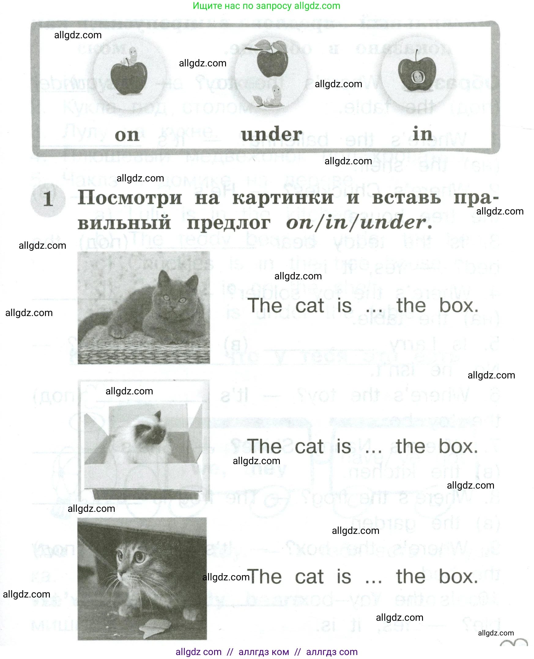 Английский язык (english), 2 класс Грамматический тренажёр, автор: Юшина Дарья Генадьевна, издательство Просвещение, Москва, 2018, розового цвета, страница 45, номер 1, Условие