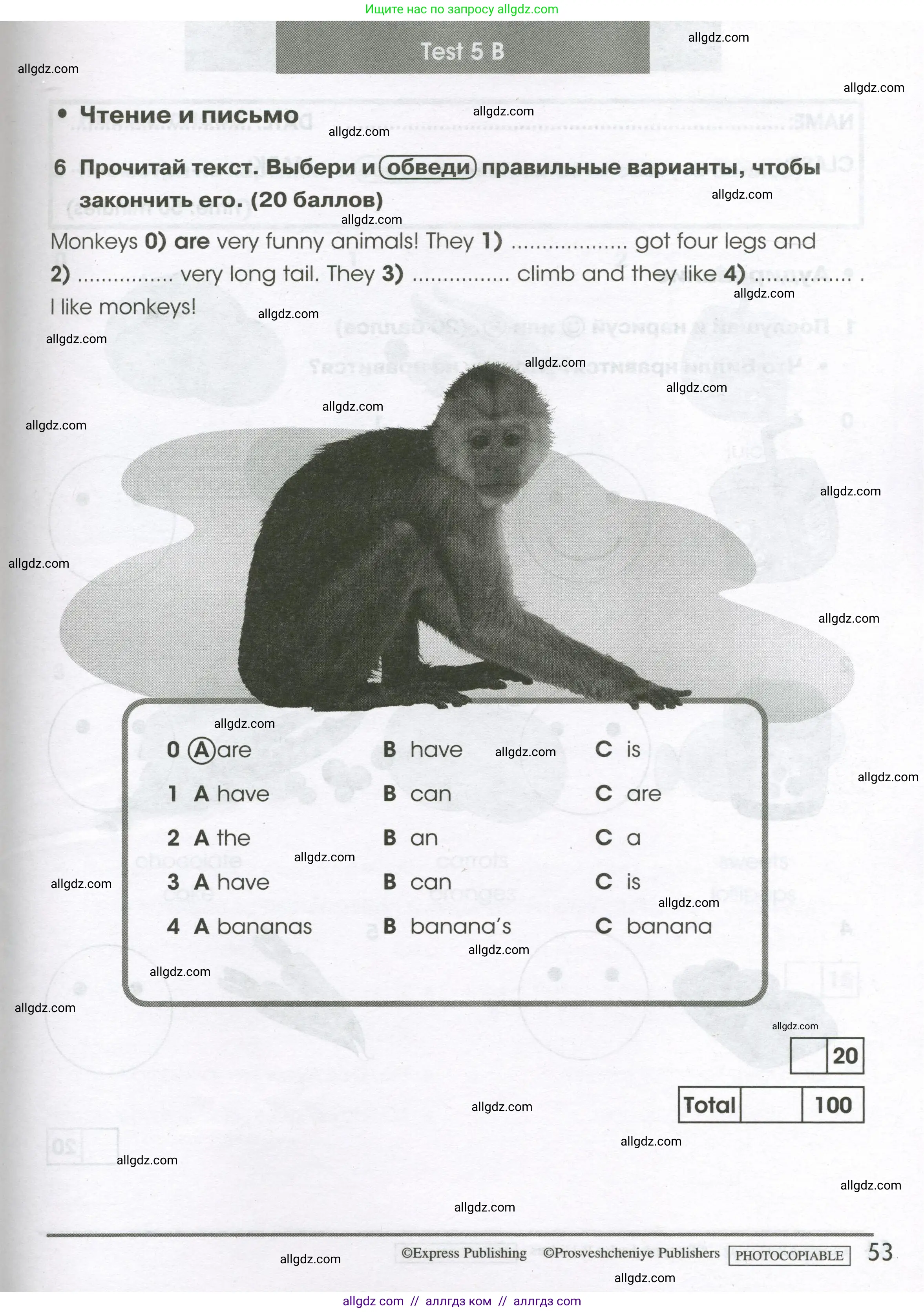 Английский язык (english), 2 класс контрольные задания (test booklet), авторы: Баранова Ксения Михайловна (Baranova Ksenia), Дули Дженни (Dooley Jenny), Копылова Виктория Викторовна (Kopylova Victoria), Мильруд Радислав Петрович (Millrood Radislav), Эванс Вирджиния (Evans Virginia), издательство Просвещение, Москва, 2023, серого цвета, страница 53