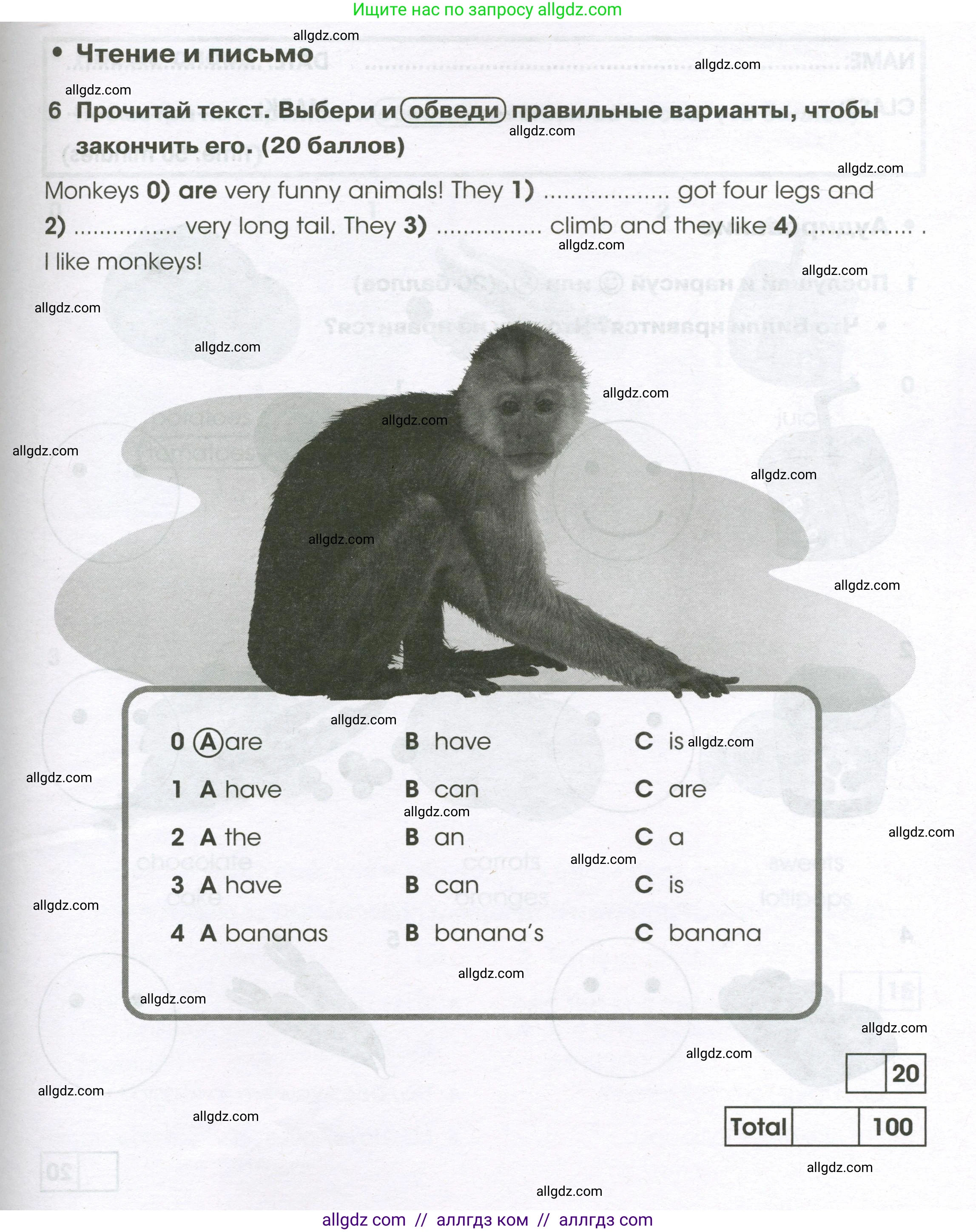 Английский язык (english), 2 класс контрольные задания (test booklet), авторы: Баранова Ксения Михайловна (Baranova Ksenia), Дули Дженни (Dooley Jenny), Копылова Виктория Викторовна (Kopylova Victoria), Мильруд Радислав Петрович (Millrood Radislav), Эванс Вирджиния (Evans Virginia), издательство Просвещение, Москва, 2023, серого цвета, страница 53, номер 6, Условие