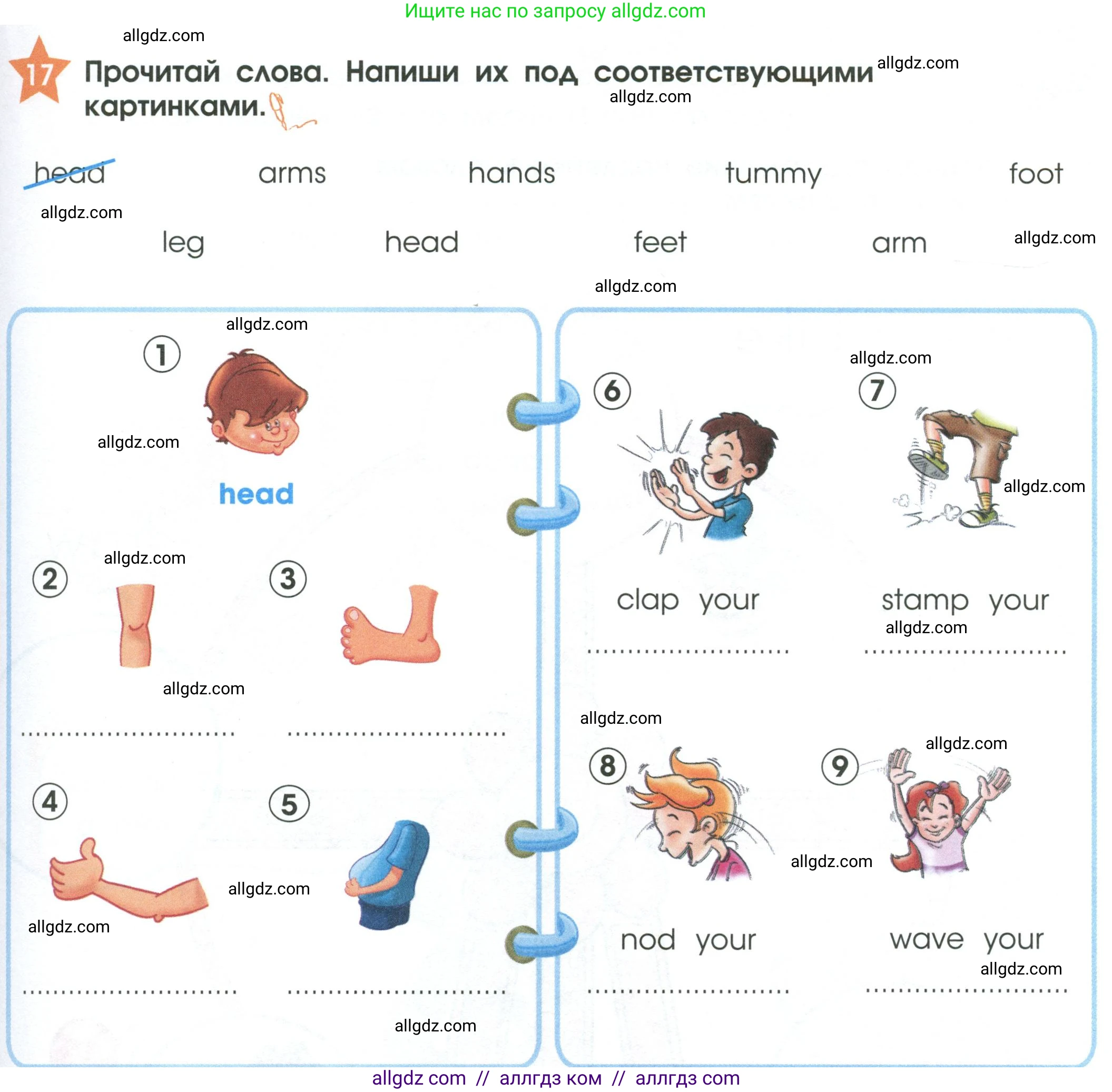 Английский язык (english), 2 класс Рабочая тетрадь (workbook), авторы: Баранова Ксения Михайловна (Baranova Ksenia), Дули Дженни (Dooley Jenny), Копылова Виктория Викторовна (Kopylova Victoria), Мильруд Радислав Петрович (Millrood Radislav), Эванс Вирджиния (Evans Virginia), издательство Просвещение, Москва, 2023, белого цвета, Часть ( Part) 1, страница 41, номер 17, Условие