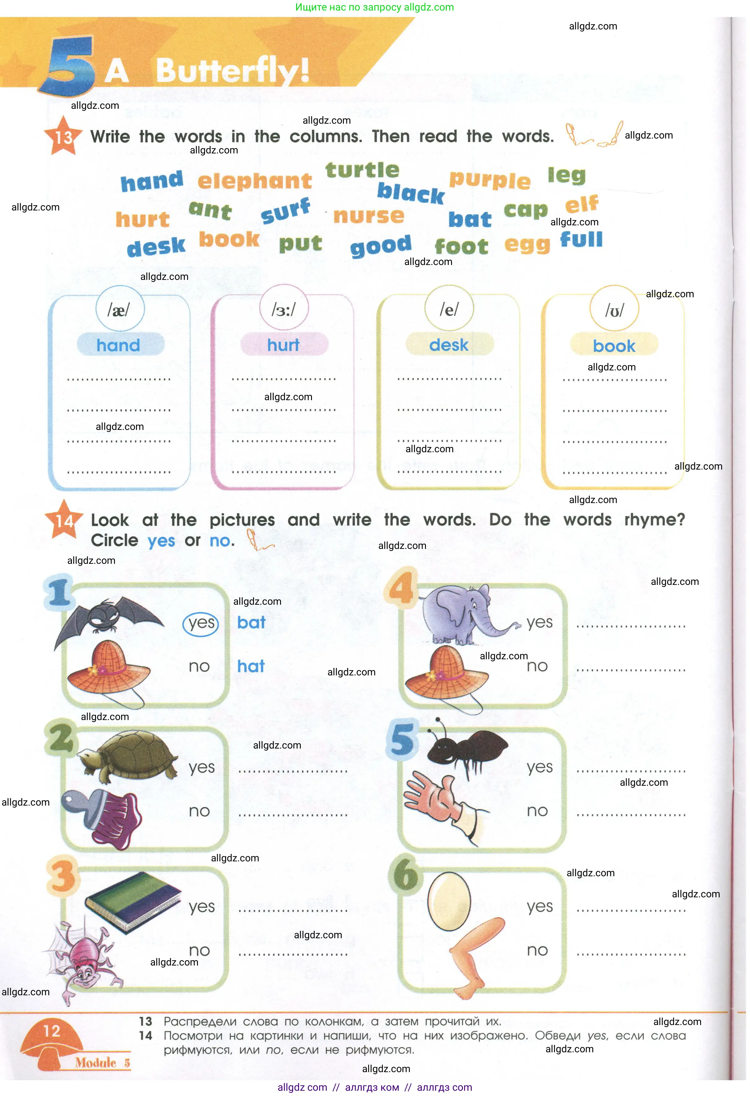 Английский язык (english), 2 класс Рабочая тетрадь (workbook), авторы: Баранова Ксения Михайловна (Baranova Ksenia), Дули Дженни (Dooley Jenny), Копылова Виктория Викторовна (Kopylova Victoria), Мильруд Радислав Петрович (Millrood Radislav), Эванс Вирджиния (Evans Virginia), издательство Просвещение, Москва, 2023, белого цвета, Часть ( Part) 2, страница 12