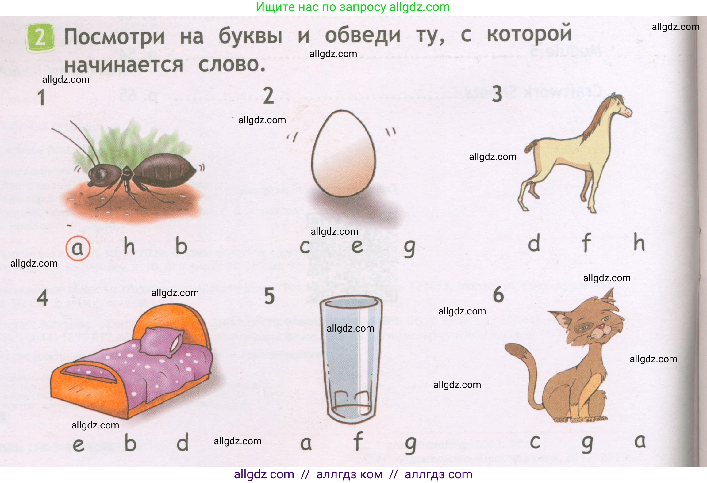 Английский язык (english), 2 класс Рабочая тетрадь (workbook), авторы: Быкова Надежда Ильинична (Bykova Nadezhda), Дули Дженни (Dooley Jenny), Поспелова Марина Давидовна (Pospelova Marina), Эванс Вирджиния (Evans Virginia), издательство Просвещение, Москва, 2023, розового цвета, страница 4, номер 2, Условие