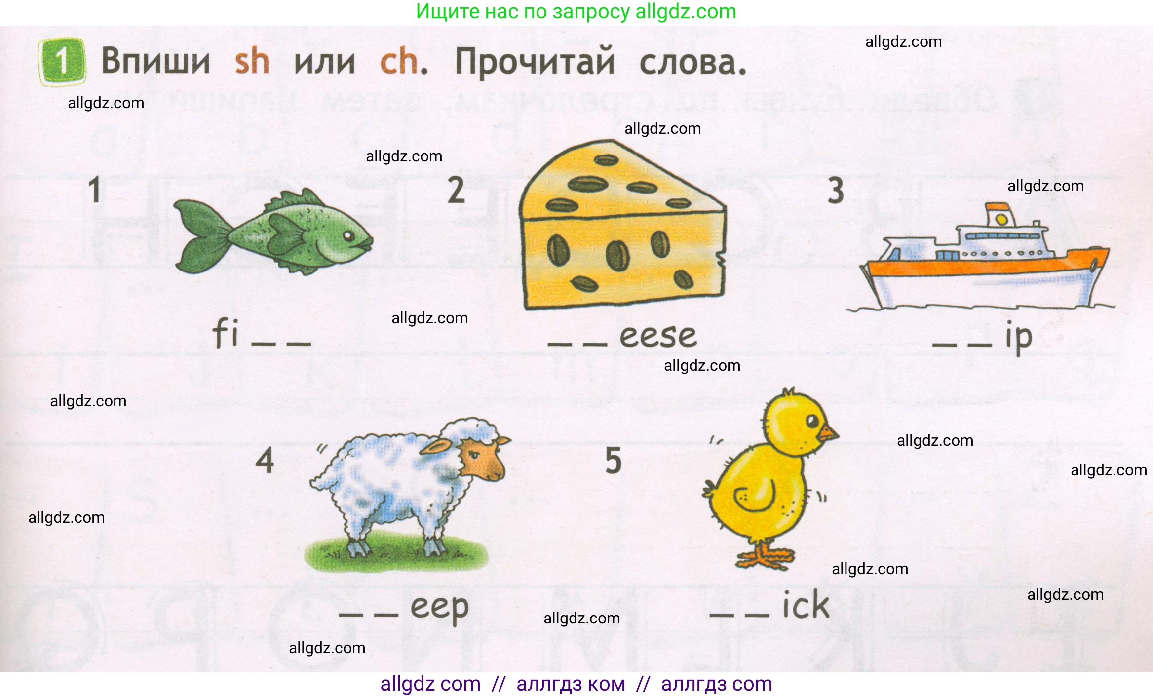 Английский язык (english), 2 класс Рабочая тетрадь (workbook), авторы: Быкова Надежда Ильинична (Bykova Nadezhda), Дули Дженни (Dooley Jenny), Поспелова Марина Давидовна (Pospelova Marina), Эванс Вирджиния (Evans Virginia), издательство Просвещение, Москва, 2023, розового цвета, страница 7, номер 1, Условие