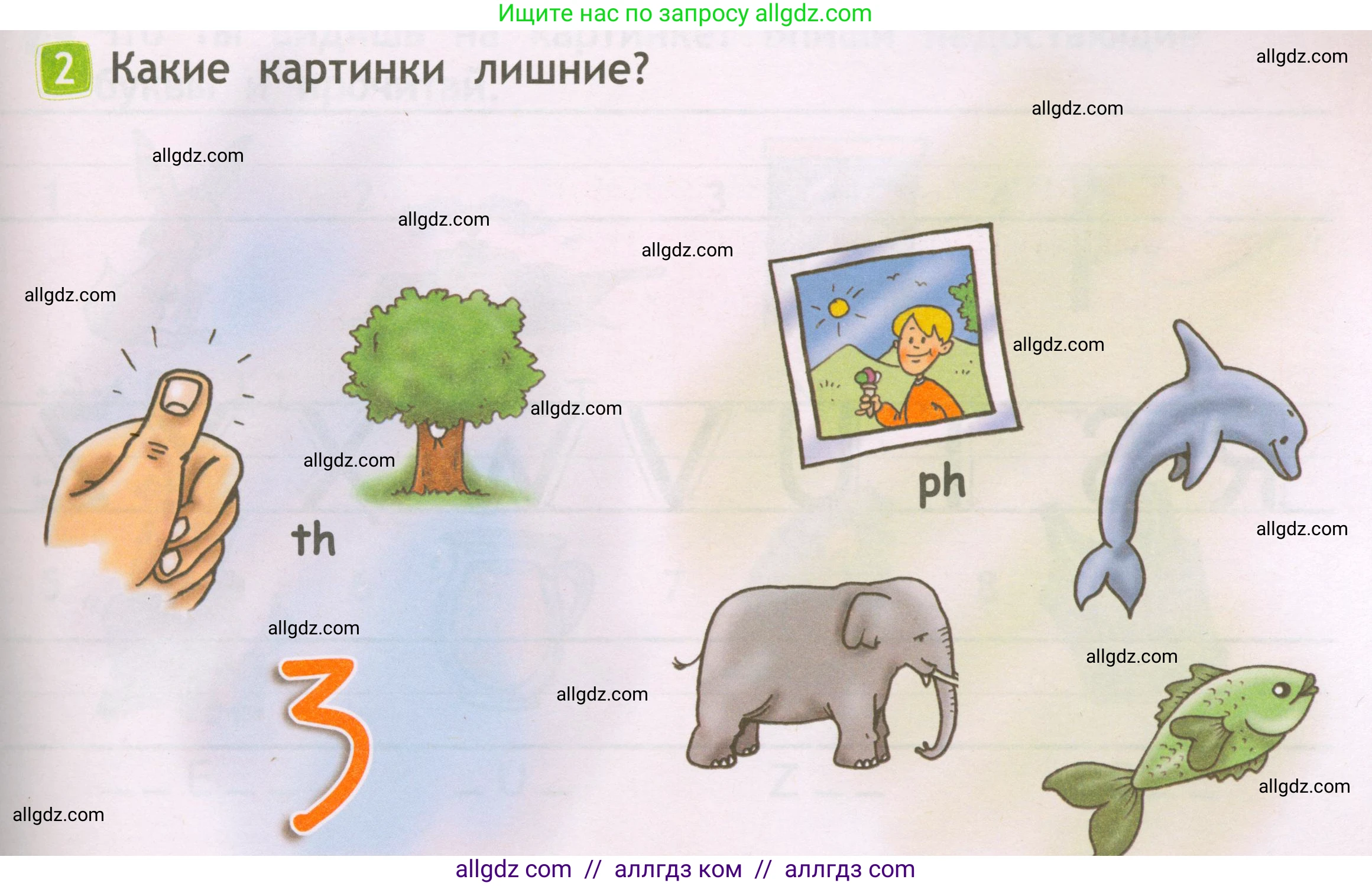 Английский язык (english), 2 класс Рабочая тетрадь (workbook), авторы: Быкова Надежда Ильинична (Bykova Nadezhda), Дули Дженни (Dooley Jenny), Поспелова Марина Давидовна (Pospelova Marina), Эванс Вирджиния (Evans Virginia), издательство Просвещение, Москва, 2023, розового цвета, страница 7, номер 2, Условие