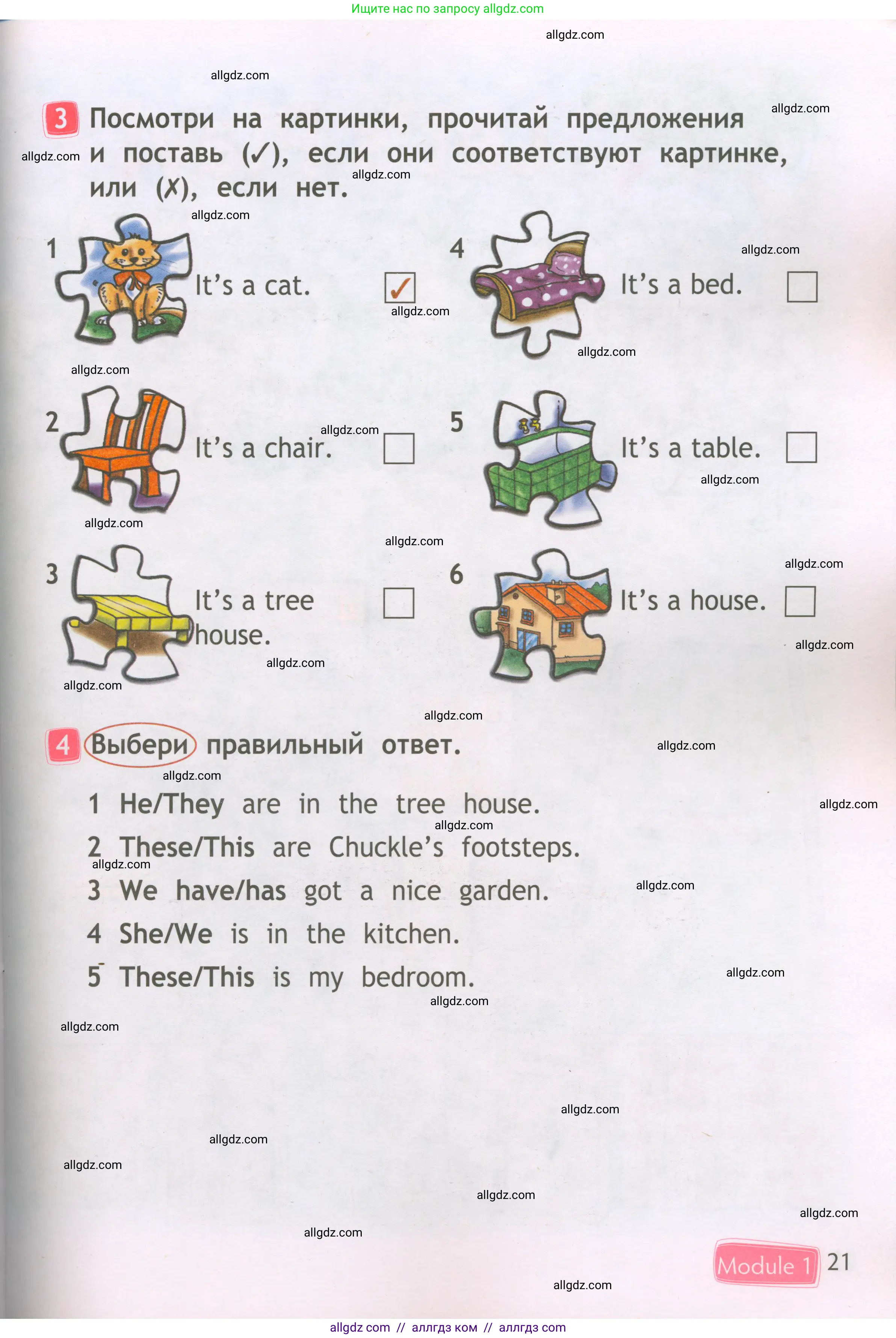 Английский язык (english), 2 класс Рабочая тетрадь (workbook), авторы: Быкова Надежда Ильинична (Bykova Nadezhda), Дули Дженни (Dooley Jenny), Поспелова Марина Давидовна (Pospelova Marina), Эванс Вирджиния (Evans Virginia), издательство Просвещение, Москва, 2023, розового цвета, страница 21