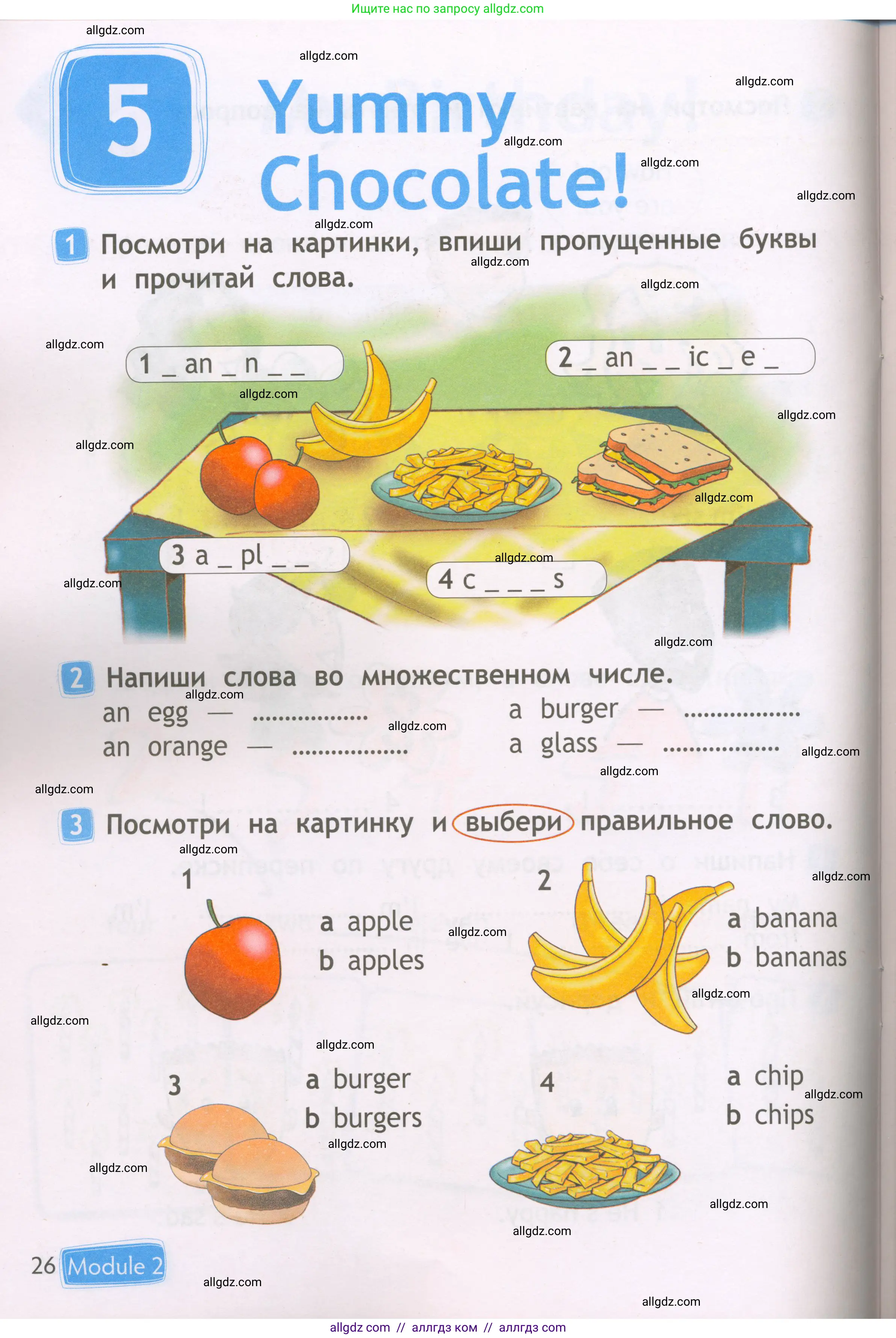 Английский язык (english), 2 класс Рабочая тетрадь (workbook), авторы: Быкова Надежда Ильинична (Bykova Nadezhda), Дули Дженни (Dooley Jenny), Поспелова Марина Давидовна (Pospelova Marina), Эванс Вирджиния (Evans Virginia), издательство Просвещение, Москва, 2023, розового цвета, страница 26