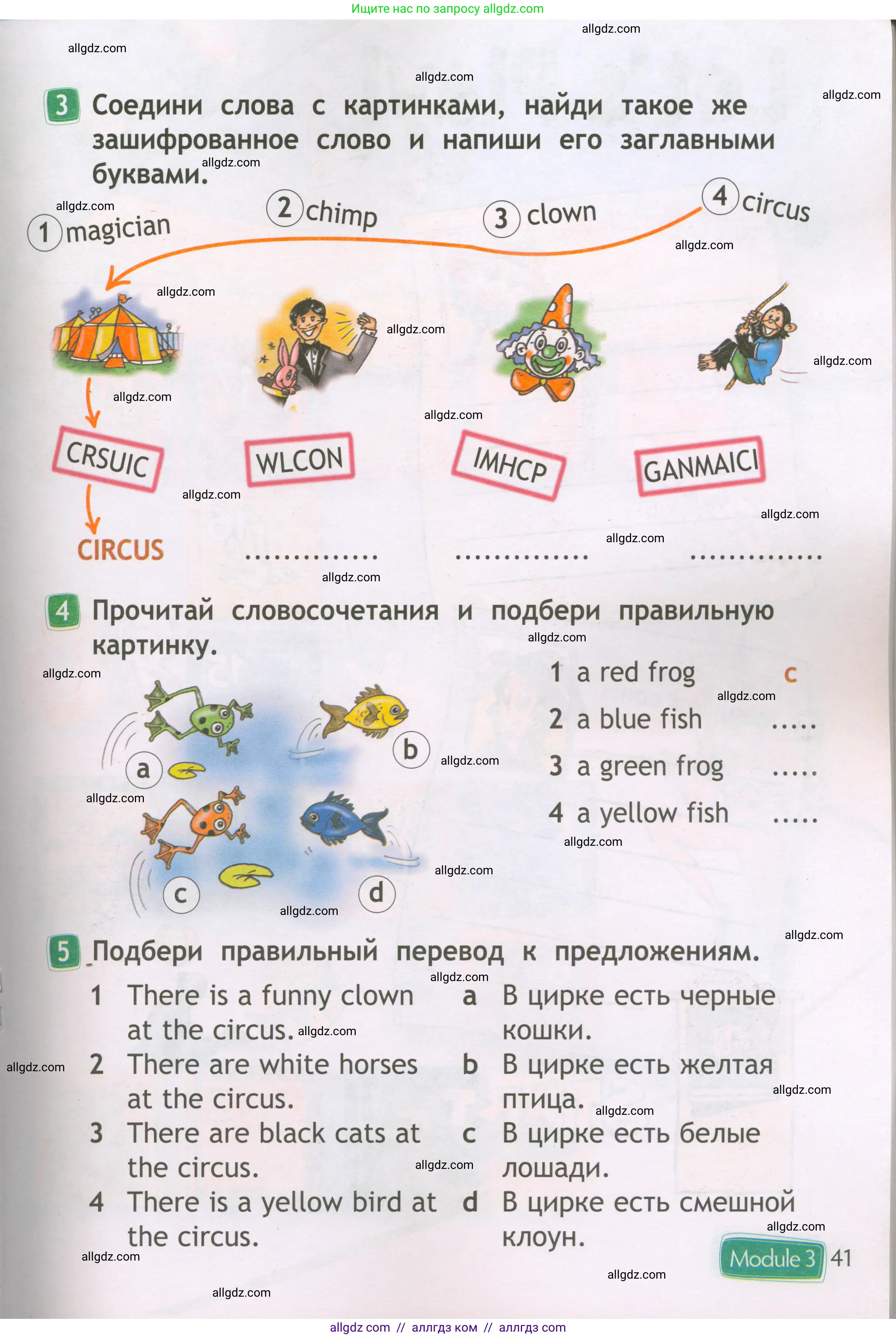 Английский язык (english), 2 класс Рабочая тетрадь (workbook), авторы: Быкова Надежда Ильинична (Bykova Nadezhda), Дули Дженни (Dooley Jenny), Поспелова Марина Давидовна (Pospelova Marina), Эванс Вирджиния (Evans Virginia), издательство Просвещение, Москва, 2023, розового цвета, страница 41