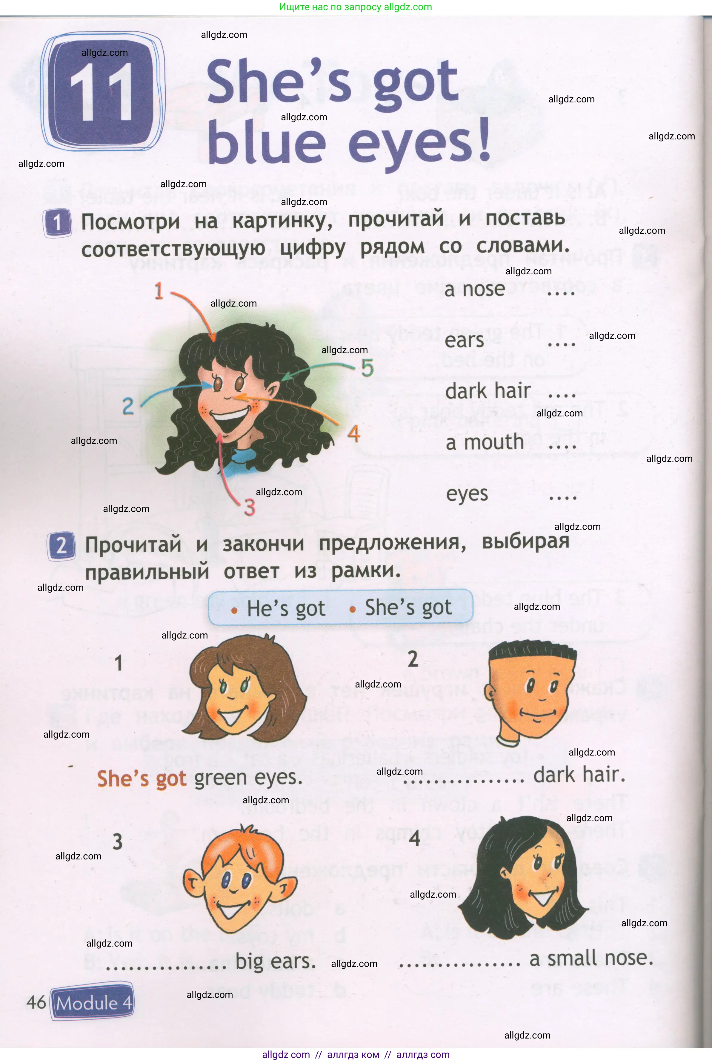 Английский язык (english), 2 класс Рабочая тетрадь (workbook), авторы: Быкова Надежда Ильинична (Bykova Nadezhda), Дули Дженни (Dooley Jenny), Поспелова Марина Давидовна (Pospelova Marina), Эванс Вирджиния (Evans Virginia), издательство Просвещение, Москва, 2023, розового цвета, страница 46