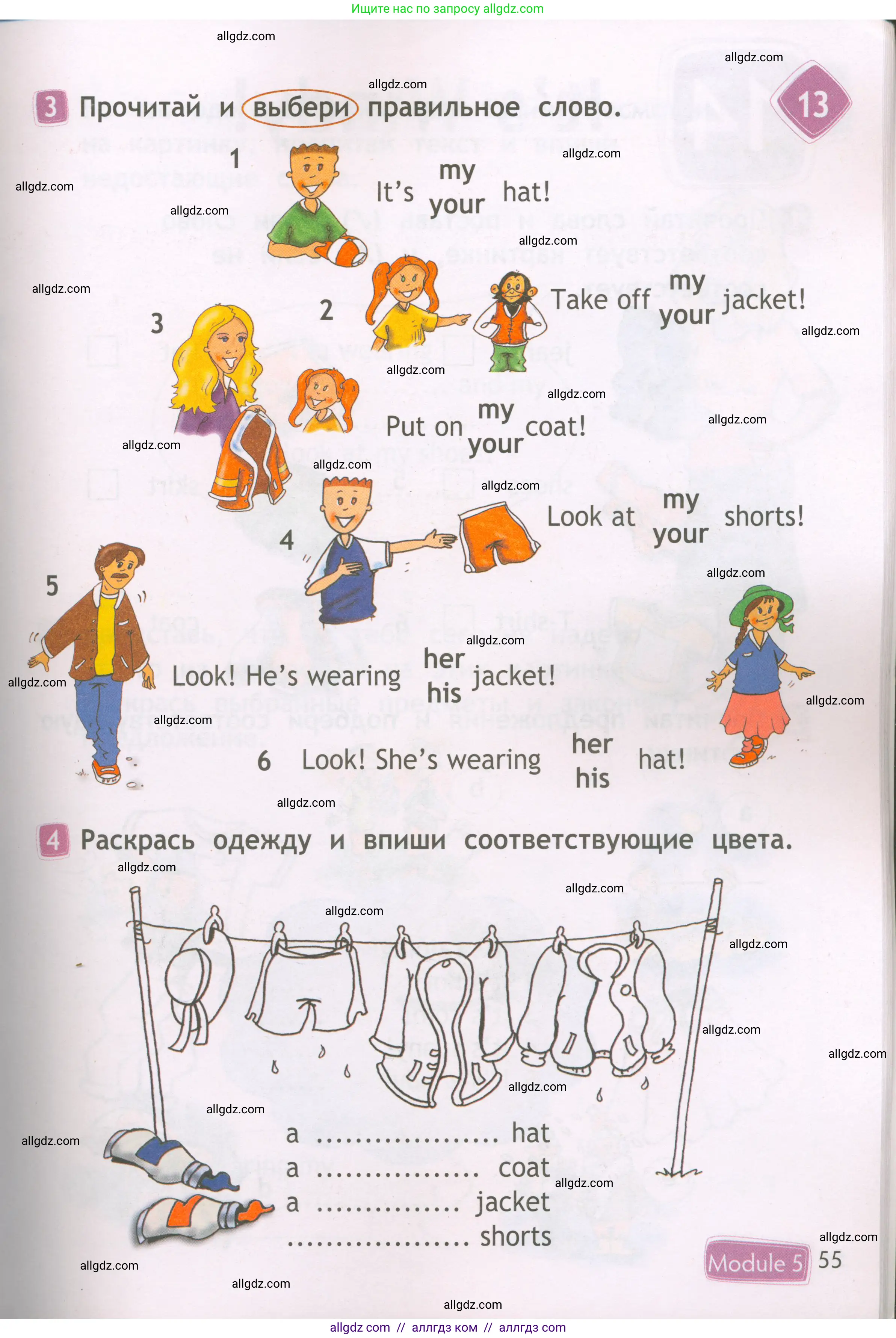 Английский язык (english), 2 класс Рабочая тетрадь (workbook), авторы: Быкова Надежда Ильинична (Bykova Nadezhda), Дули Дженни (Dooley Jenny), Поспелова Марина Давидовна (Pospelova Marina), Эванс Вирджиния (Evans Virginia), издательство Просвещение, Москва, 2023, розового цвета, страница 55