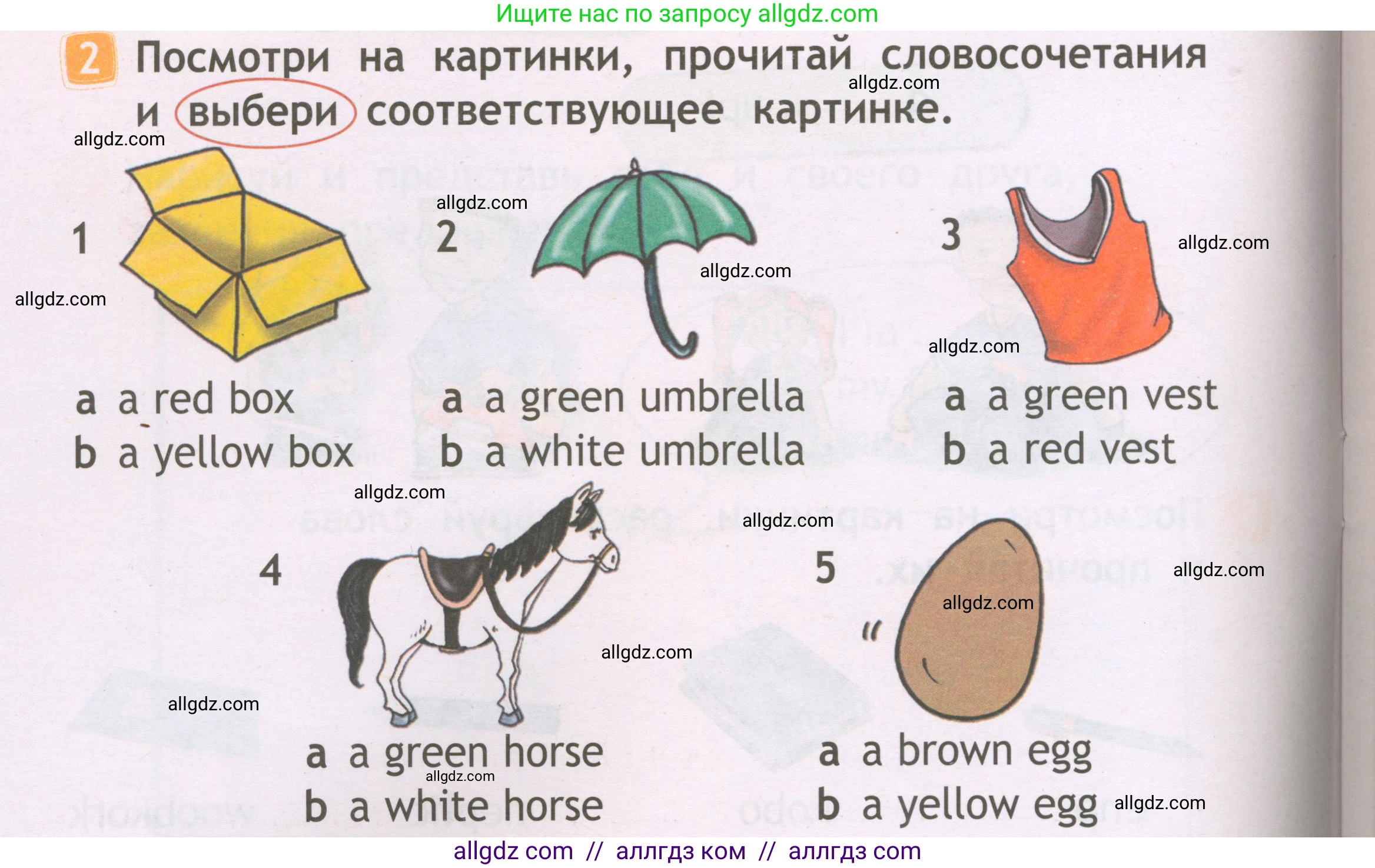 Английский язык (english), 2 класс Рабочая тетрадь (workbook), авторы: Быкова Надежда Ильинична (Bykova Nadezhda), Дули Дженни (Dooley Jenny), Поспелова Марина Давидовна (Pospelova Marina), Эванс Вирджиния (Evans Virginia), издательство Просвещение, Москва, 2023, розового цвета, страница 12, номер 2, Условие