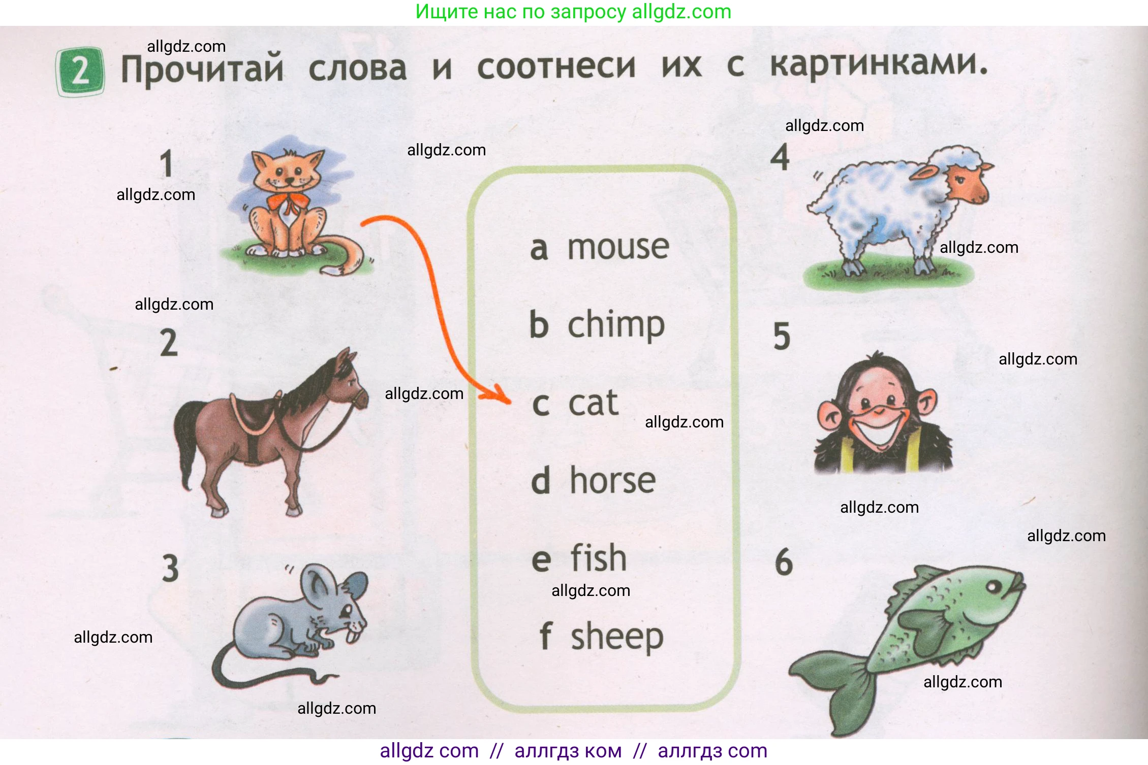 Английский язык (english), 2 класс Рабочая тетрадь (workbook), авторы: Быкова Надежда Ильинична (Bykova Nadezhda), Дули Дженни (Dooley Jenny), Поспелова Марина Давидовна (Pospelova Marina), Эванс Вирджиния (Evans Virginia), издательство Просвещение, Москва, 2023, розового цвета, страница 34, номер 2, Условие