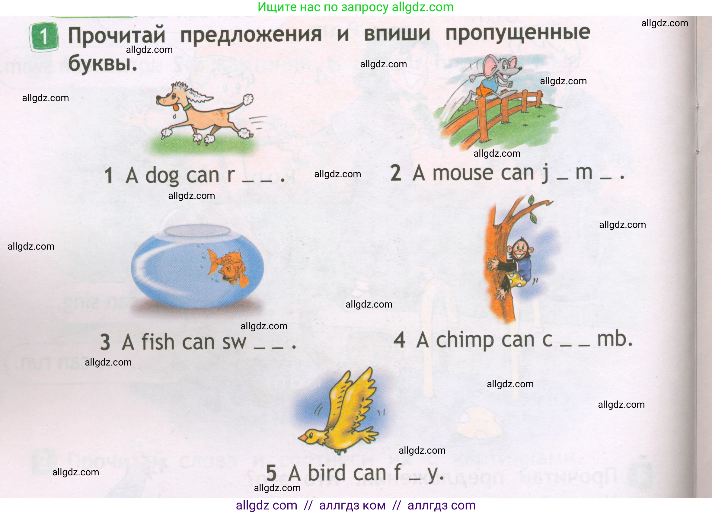 Английский язык (english), 2 класс Рабочая тетрадь (workbook), авторы: Быкова Надежда Ильинична (Bykova Nadezhda), Дули Дженни (Dooley Jenny), Поспелова Марина Давидовна (Pospelova Marina), Эванс Вирджиния (Evans Virginia), издательство Просвещение, Москва, 2023, розового цвета, страница 36, номер 1, Условие