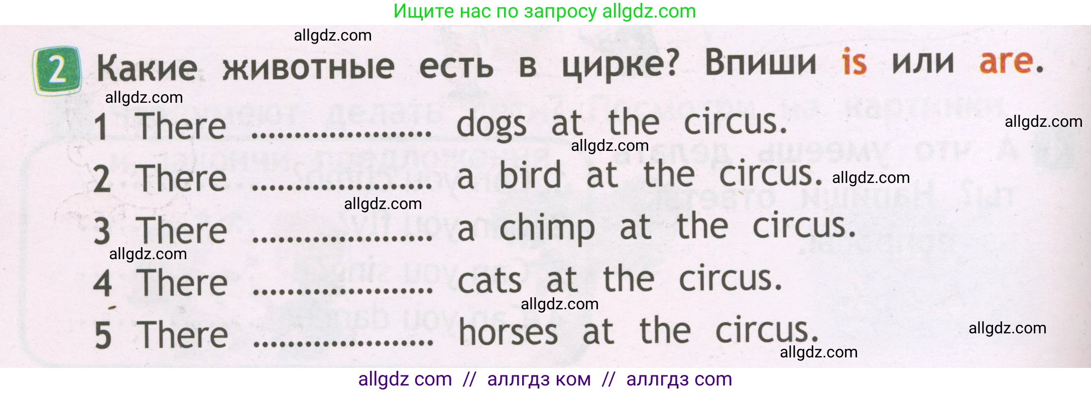 Английский язык (english), 2 класс Рабочая тетрадь (workbook), авторы: Быкова Надежда Ильинична (Bykova Nadezhda), Дули Дженни (Dooley Jenny), Поспелова Марина Давидовна (Pospelova Marina), Эванс Вирджиния (Evans Virginia), издательство Просвещение, Москва, 2023, розового цвета, страница 38, номер 2, Условие