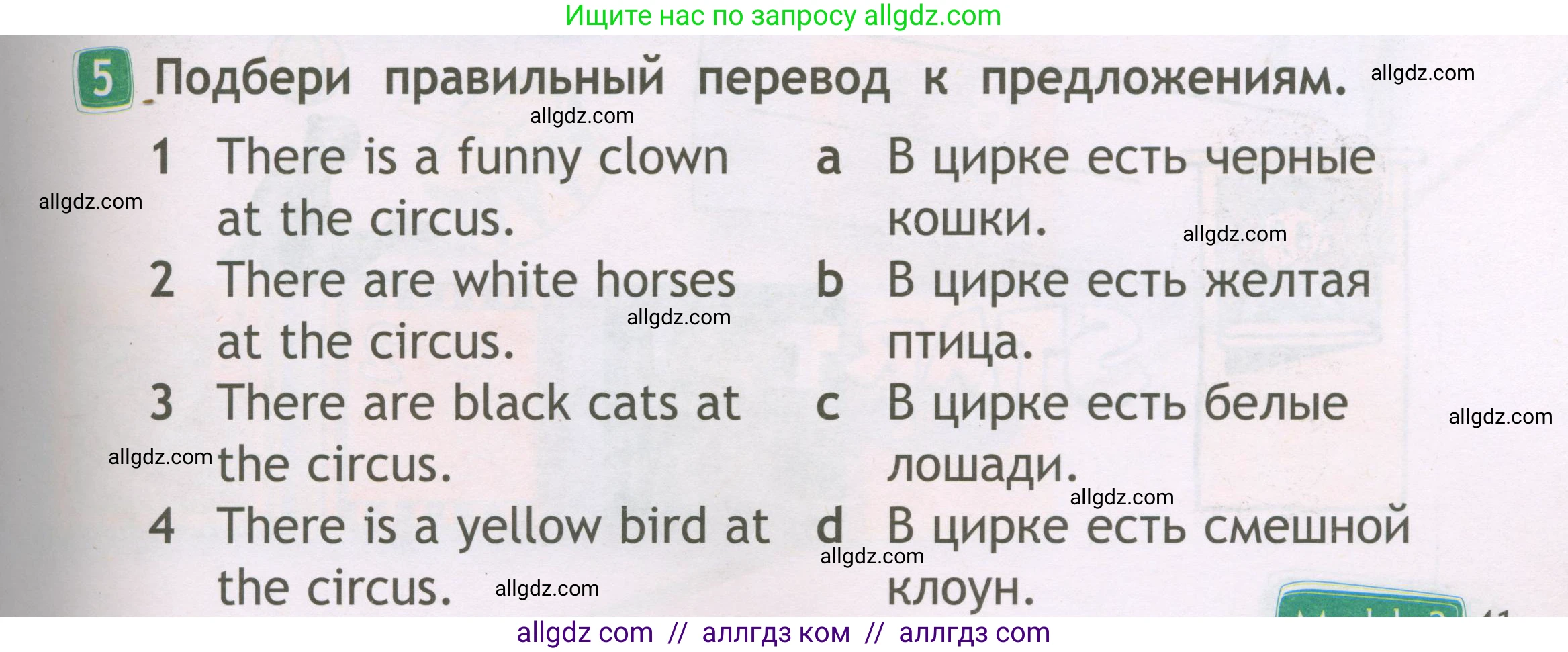 Английский язык (english), 2 класс Рабочая тетрадь (workbook), авторы: Быкова Надежда Ильинична (Bykova Nadezhda), Дули Дженни (Dooley Jenny), Поспелова Марина Давидовна (Pospelova Marina), Эванс Вирджиния (Evans Virginia), издательство Просвещение, Москва, 2023, розового цвета, страница 41, номер 5, Условие