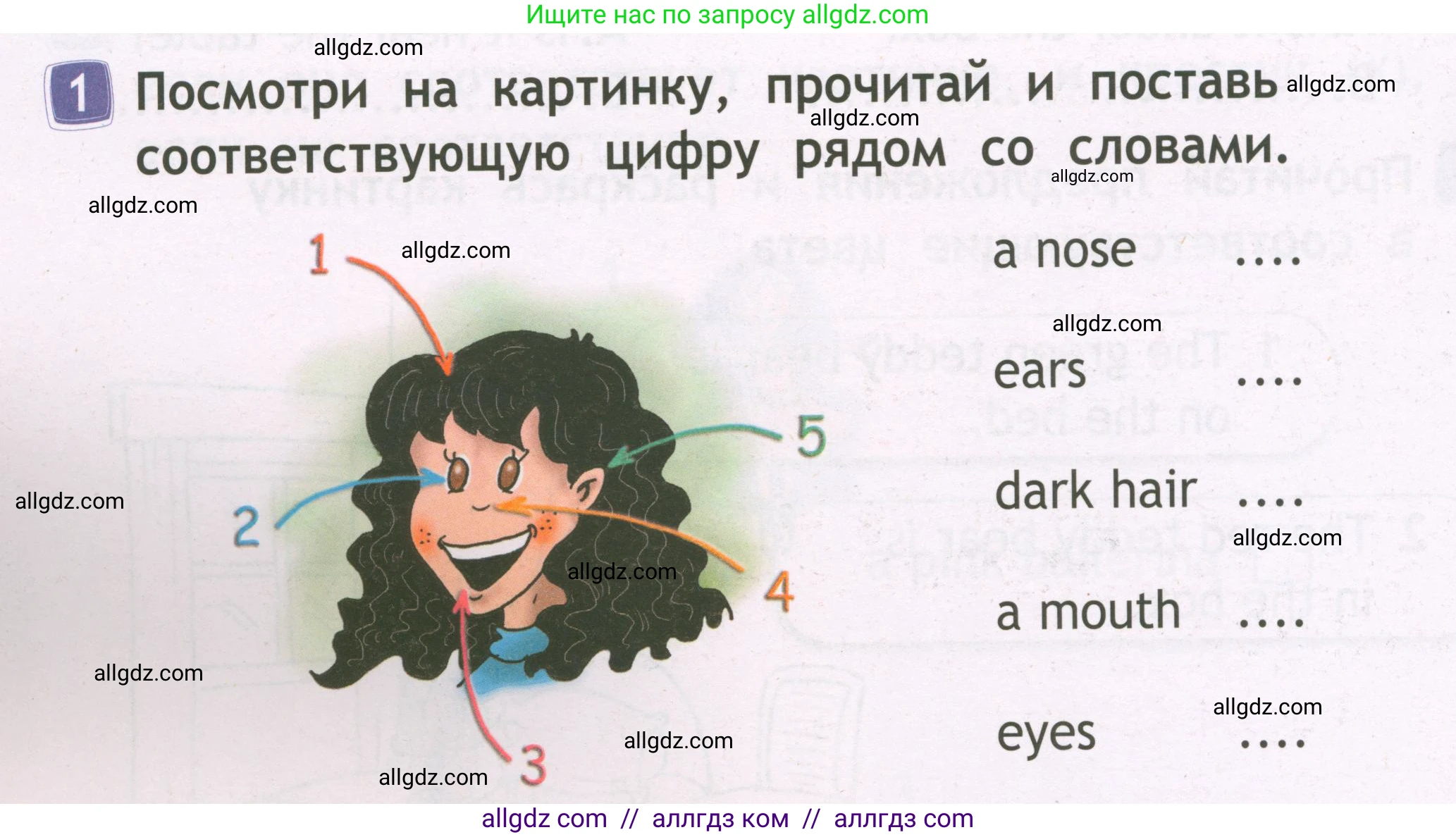 Английский язык (english), 2 класс Рабочая тетрадь (workbook), авторы: Быкова Надежда Ильинична (Bykova Nadezhda), Дули Дженни (Dooley Jenny), Поспелова Марина Давидовна (Pospelova Marina), Эванс Вирджиния (Evans Virginia), издательство Просвещение, Москва, 2023, розового цвета, страница 46, номер 1, Условие