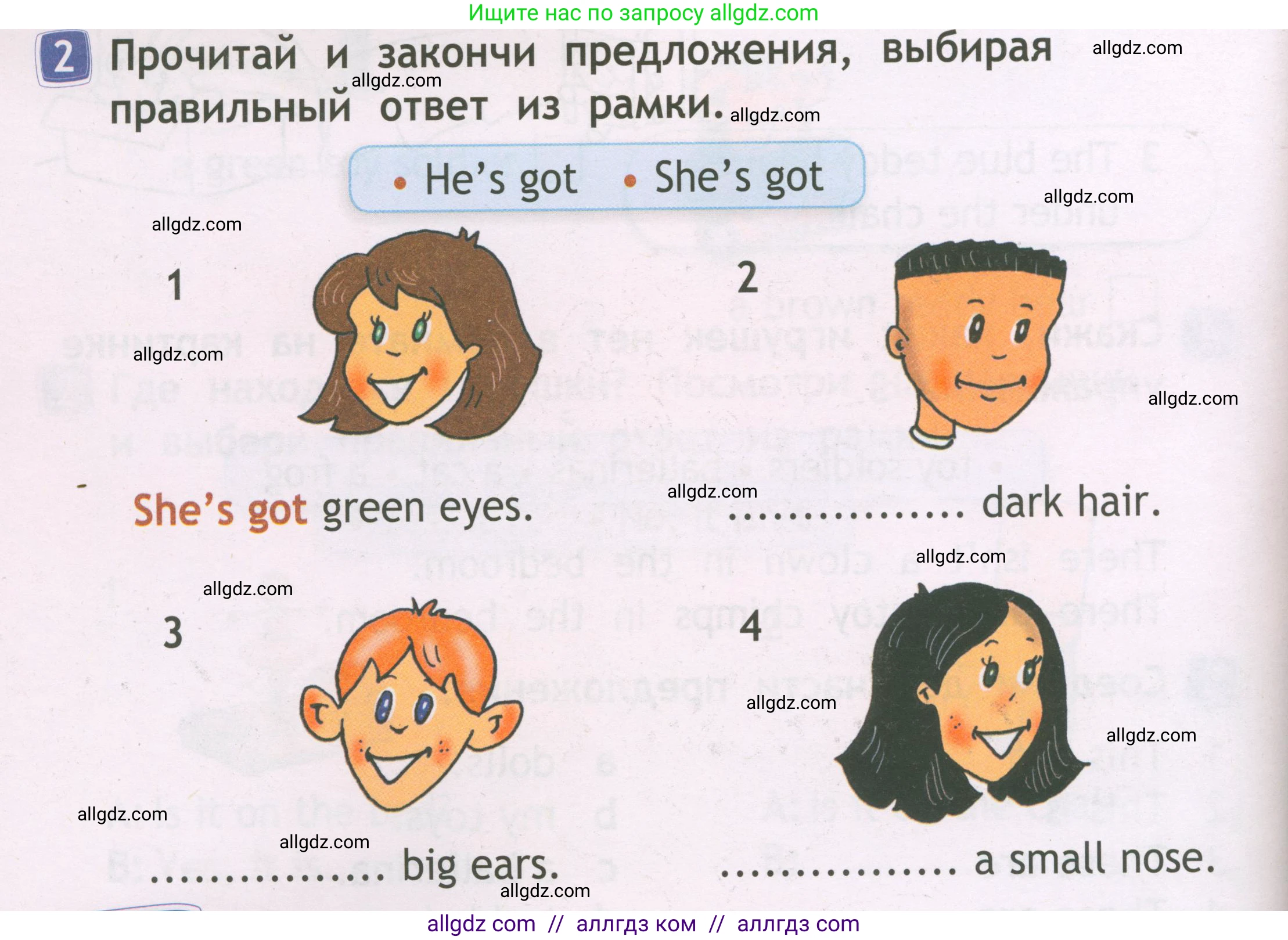 Английский язык (english), 2 класс Рабочая тетрадь (workbook), авторы: Быкова Надежда Ильинична (Bykova Nadezhda), Дули Дженни (Dooley Jenny), Поспелова Марина Давидовна (Pospelova Marina), Эванс Вирджиния (Evans Virginia), издательство Просвещение, Москва, 2023, розового цвета, страница 46, номер 2, Условие