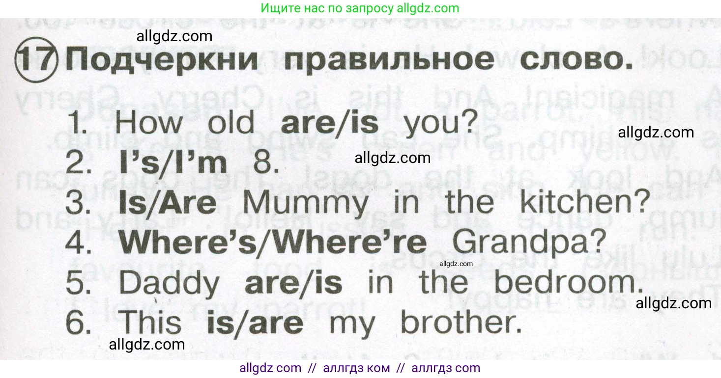 Английский язык (english), 2 класс Сборник упражнений, авторы: Быкова Надежда Ильинична (Bykova Nadezhda), Поспелова Марина Давидовна (Pospelova Marina), издательство Просвещение, Москва, 2023, розового цвета, страница 77, номер 17, Условие
