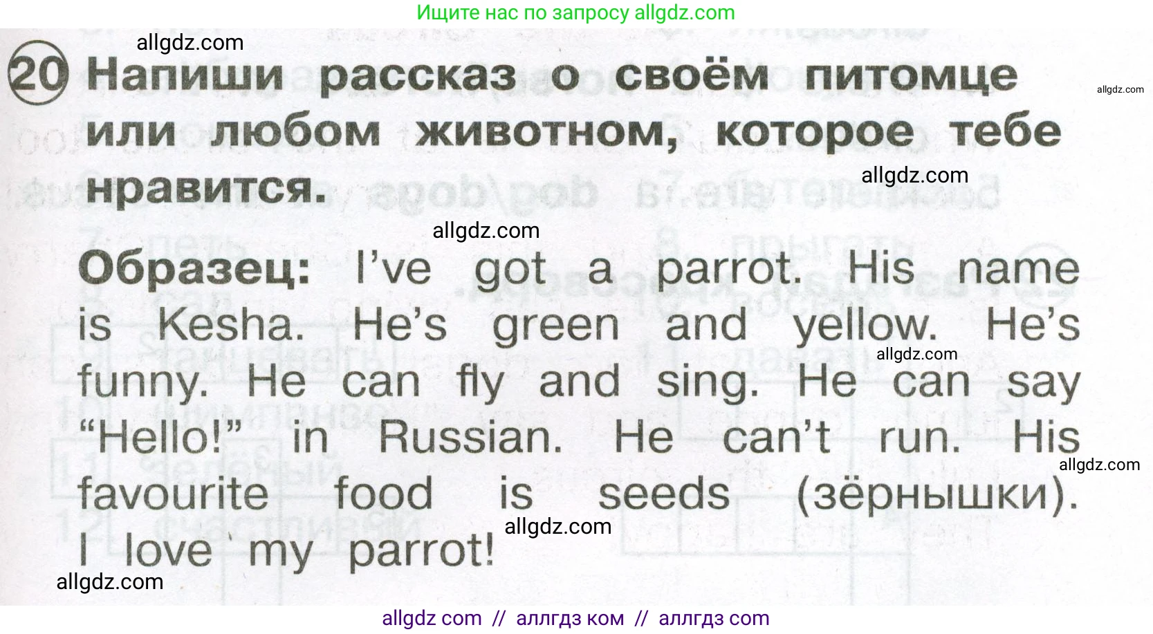 Английский язык (english), 2 класс Сборник упражнений, авторы: Быкова Надежда Ильинична (Bykova Nadezhda), Поспелова Марина Давидовна (Pospelova Marina), издательство Просвещение, Москва, 2023, розового цвета, страница 79, номер 20, Условие