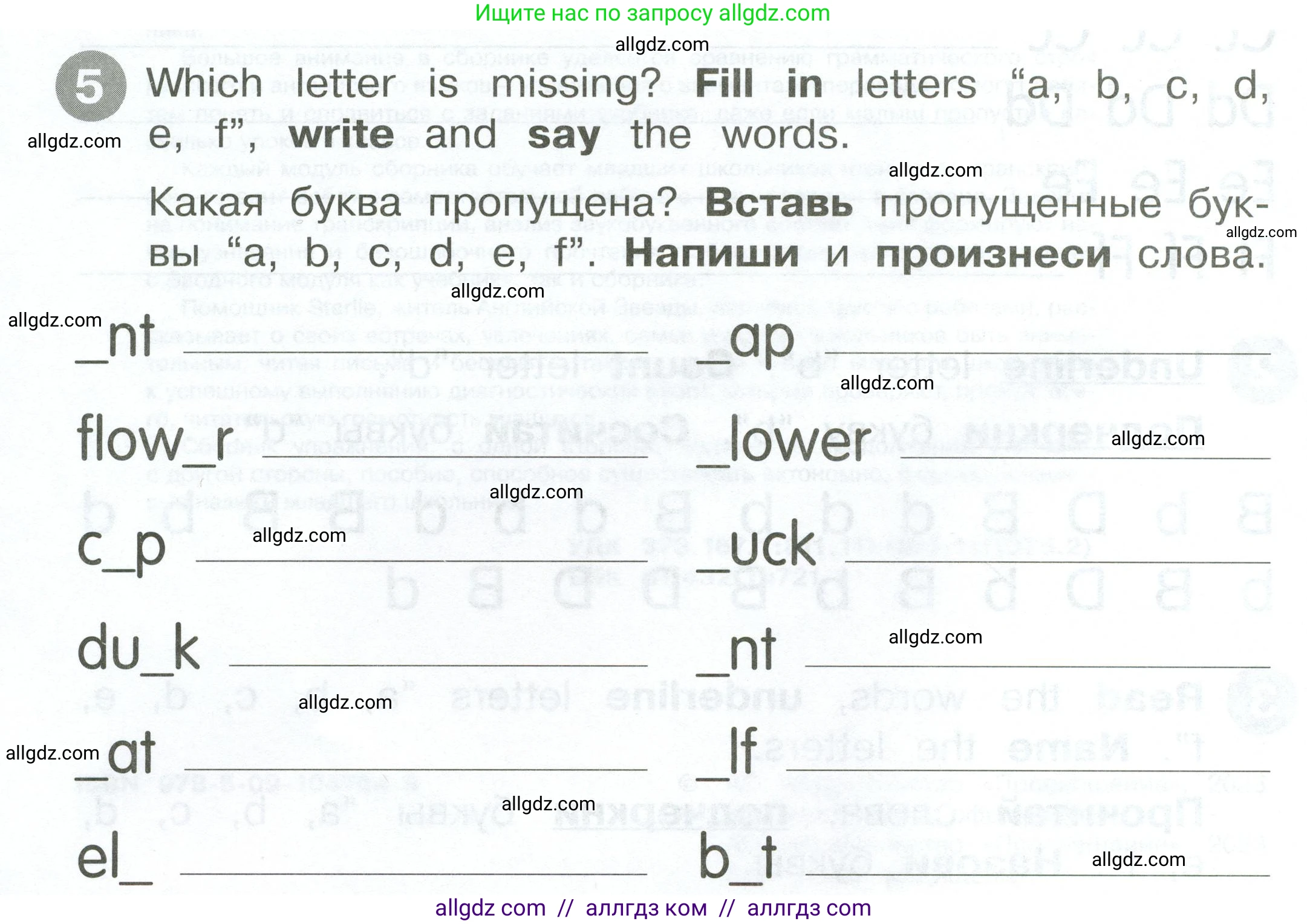Английский язык (english), 2 класс Сборник упражнений, автор: Котова Марина Петровна, издательство Просвещение, Москва, 2023, белого цвета, страница 4, номер 5, Условие