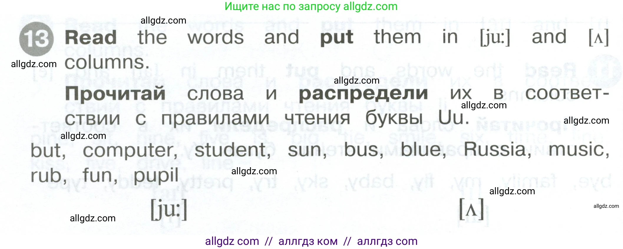 Английский язык (english), 2 класс Сборник упражнений, автор: Котова Марина Петровна, издательство Просвещение, Москва, 2023, белого цвета, страница 30, номер 13, Условие